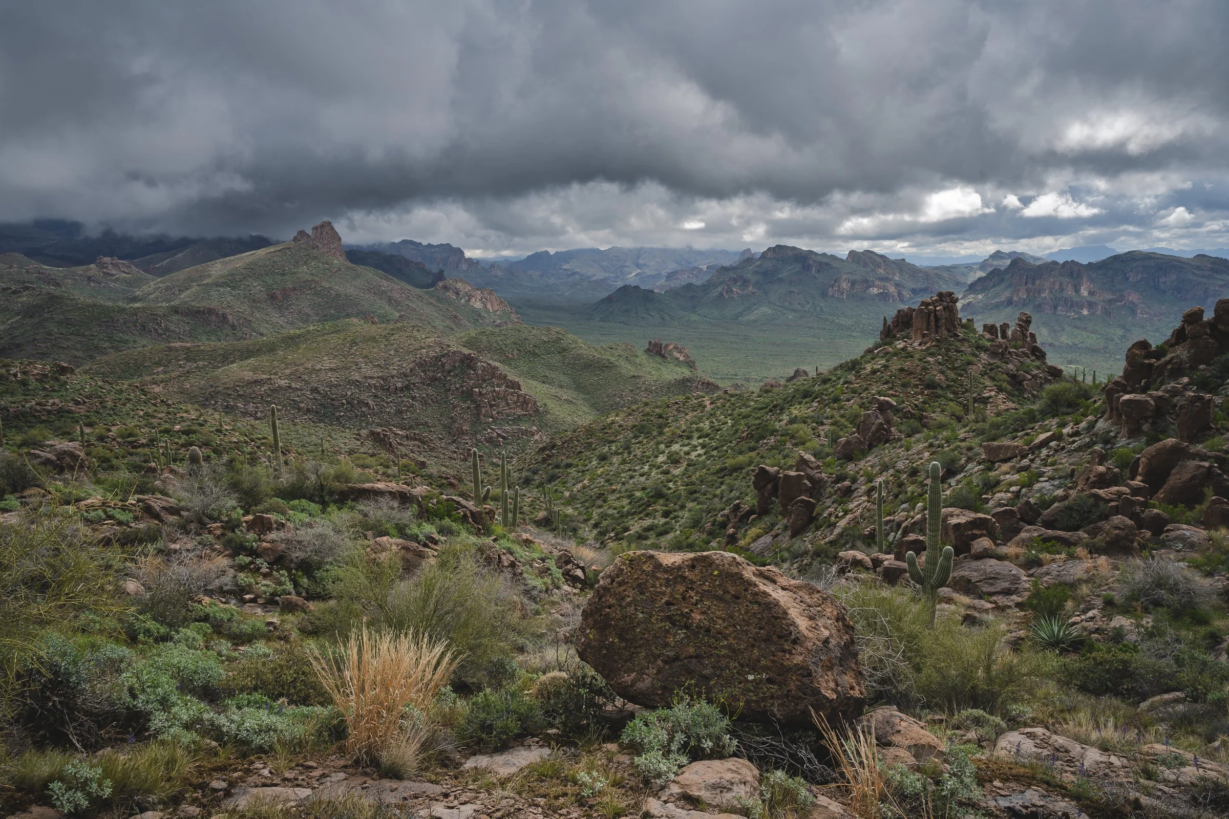 Superstition Wilderness, Arizona