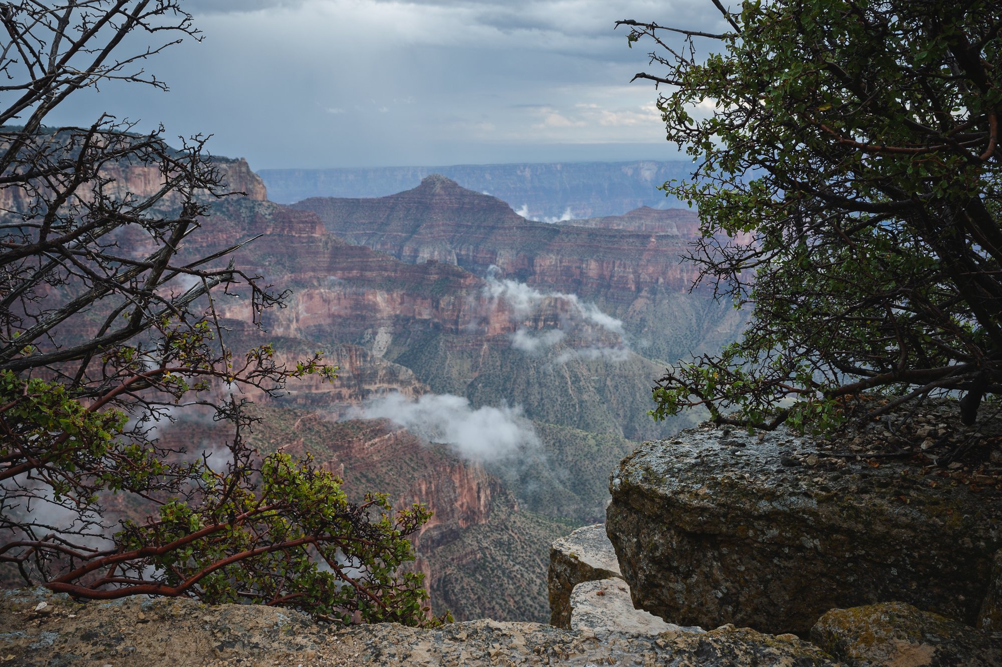 North Rim, Grand Canyon National Park, Arizona