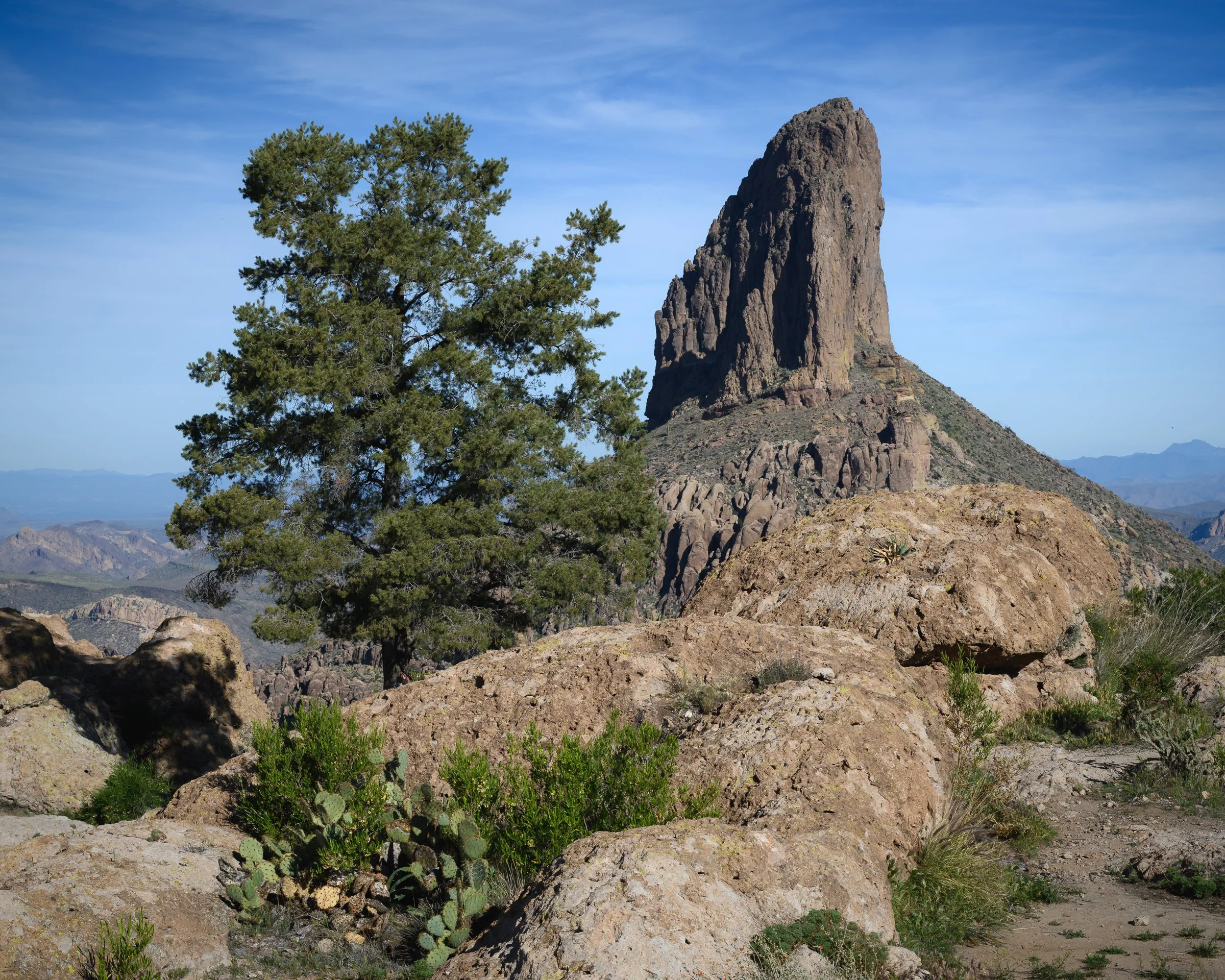 Superstition Wilderness - February, 2026