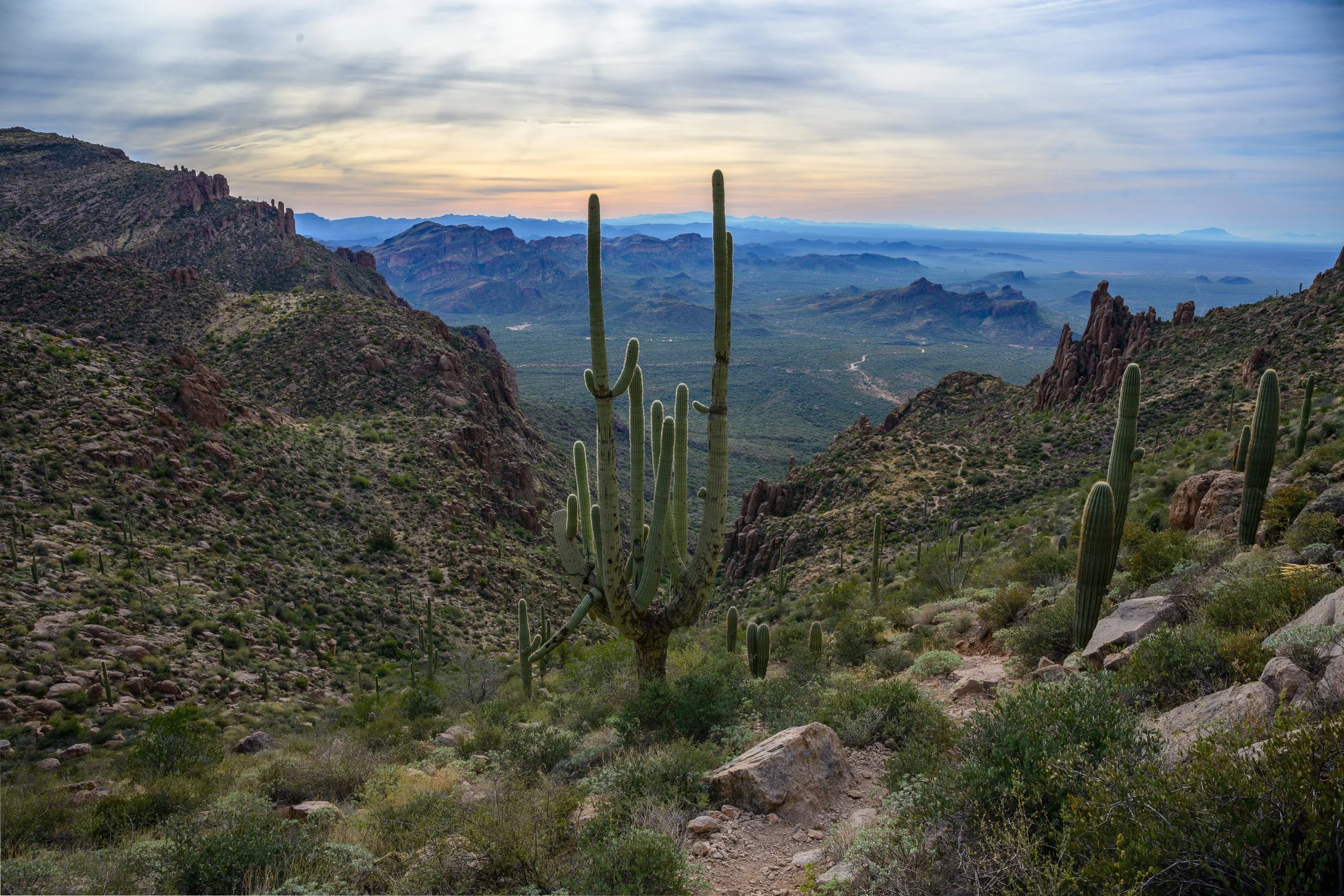 Superstitions  Wilderness, Arizona
