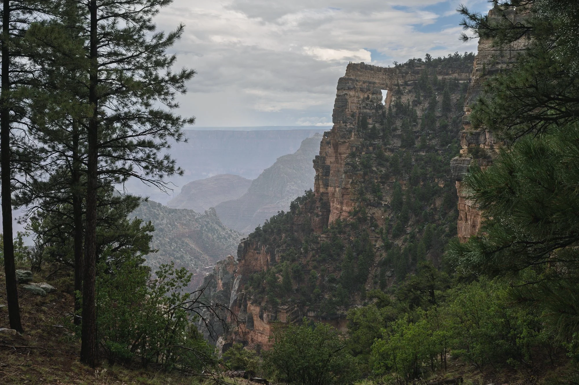 North Rim, Grand Canyon National Park, Arizona