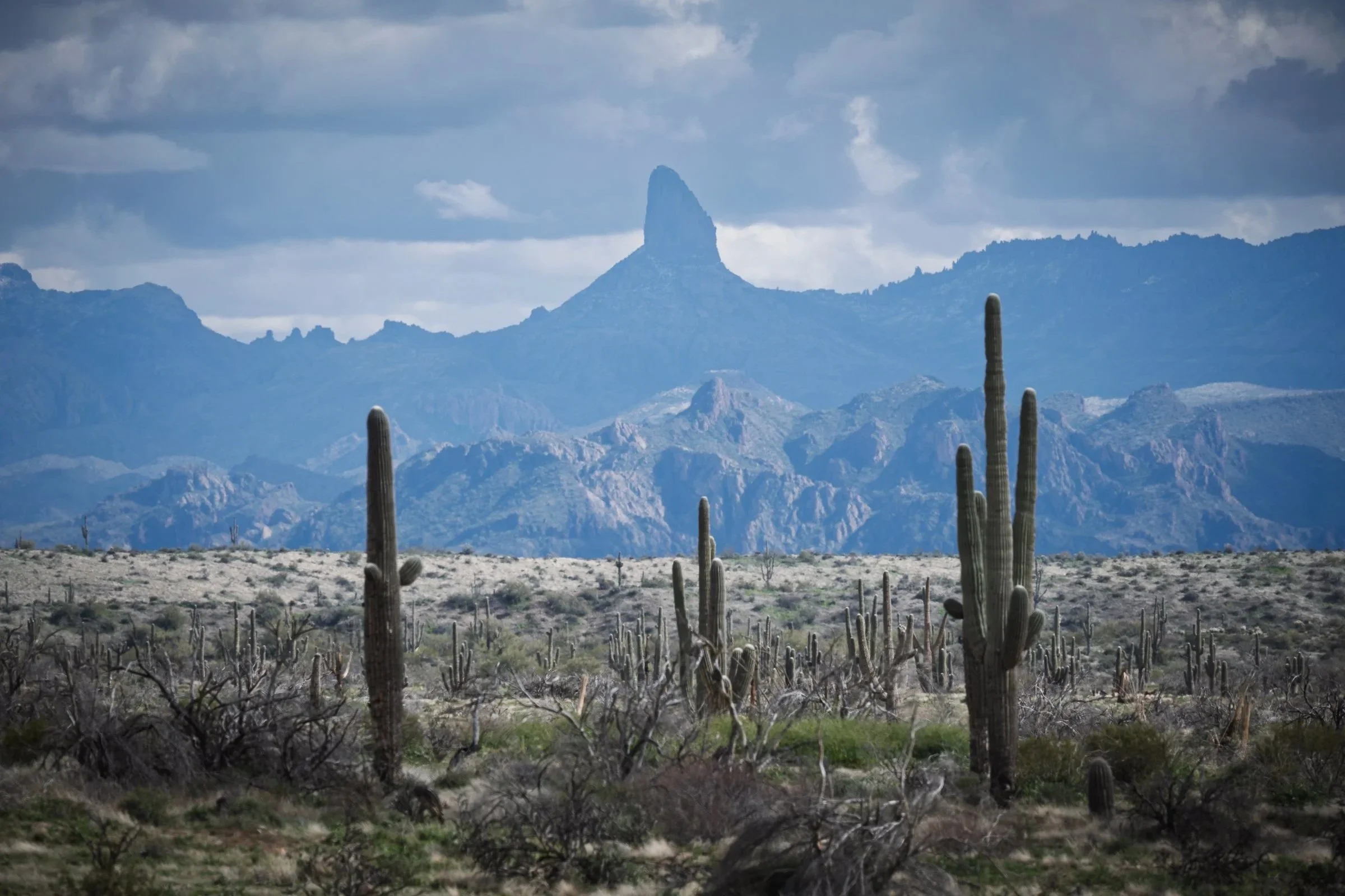 Superstition Wilderness, Arizona