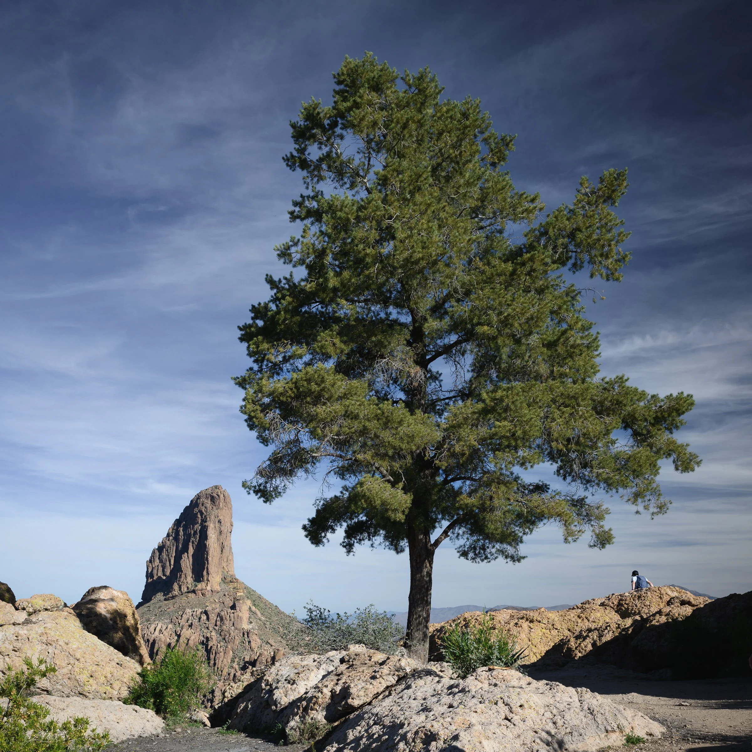 Peralta Trail, Superstition Wilderness, Arizona