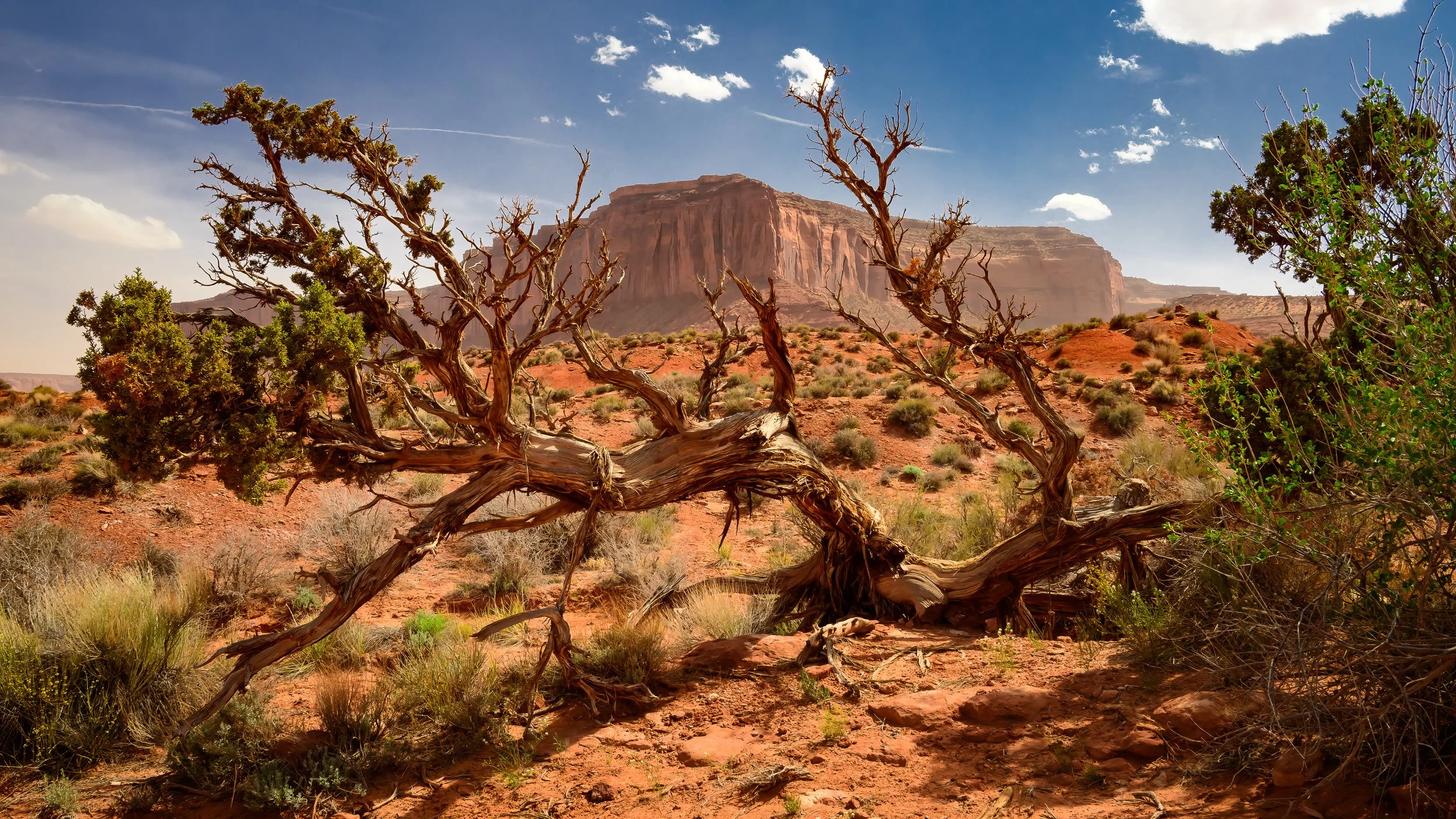 Monument Valley, Arizona