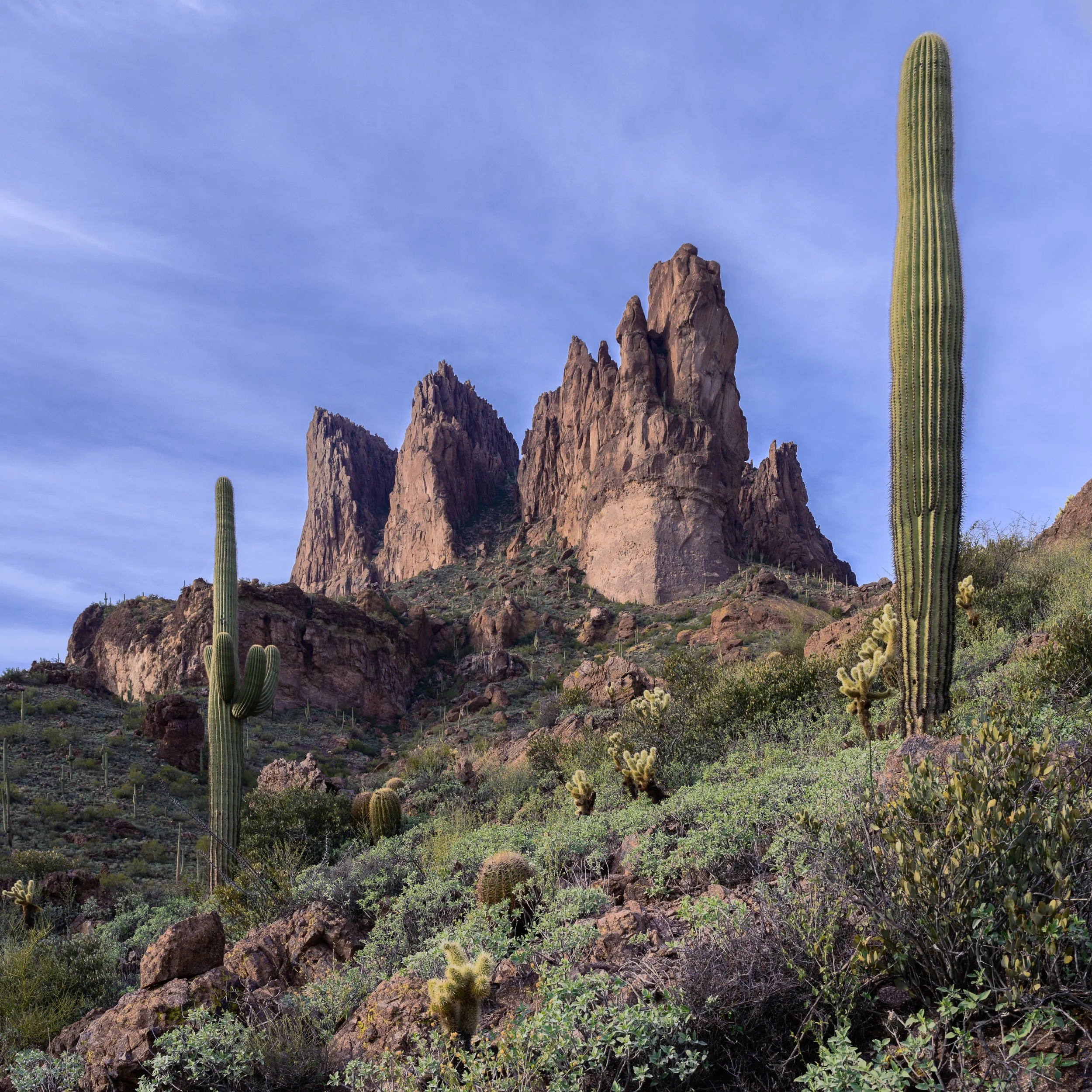 Superstitions  Wilderness, Arizona