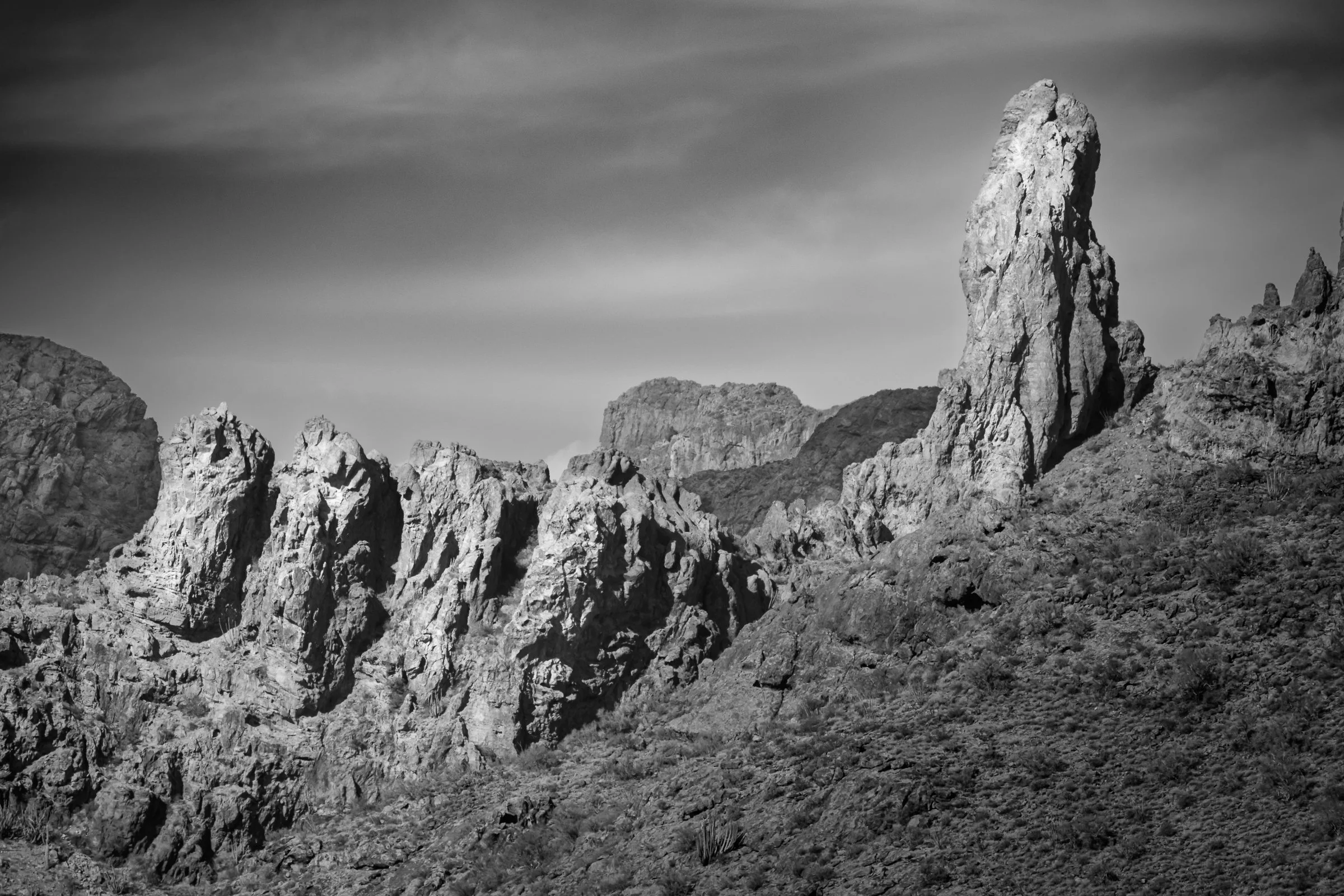 Organ Pipe Cactus National Monument, Arizona