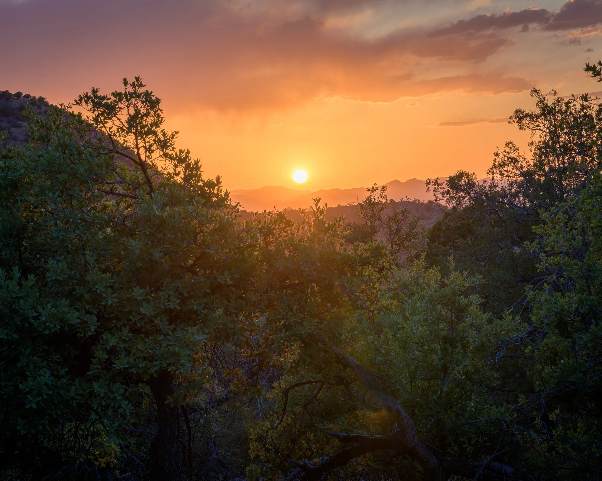 Ball of Fire Sunset.jpg