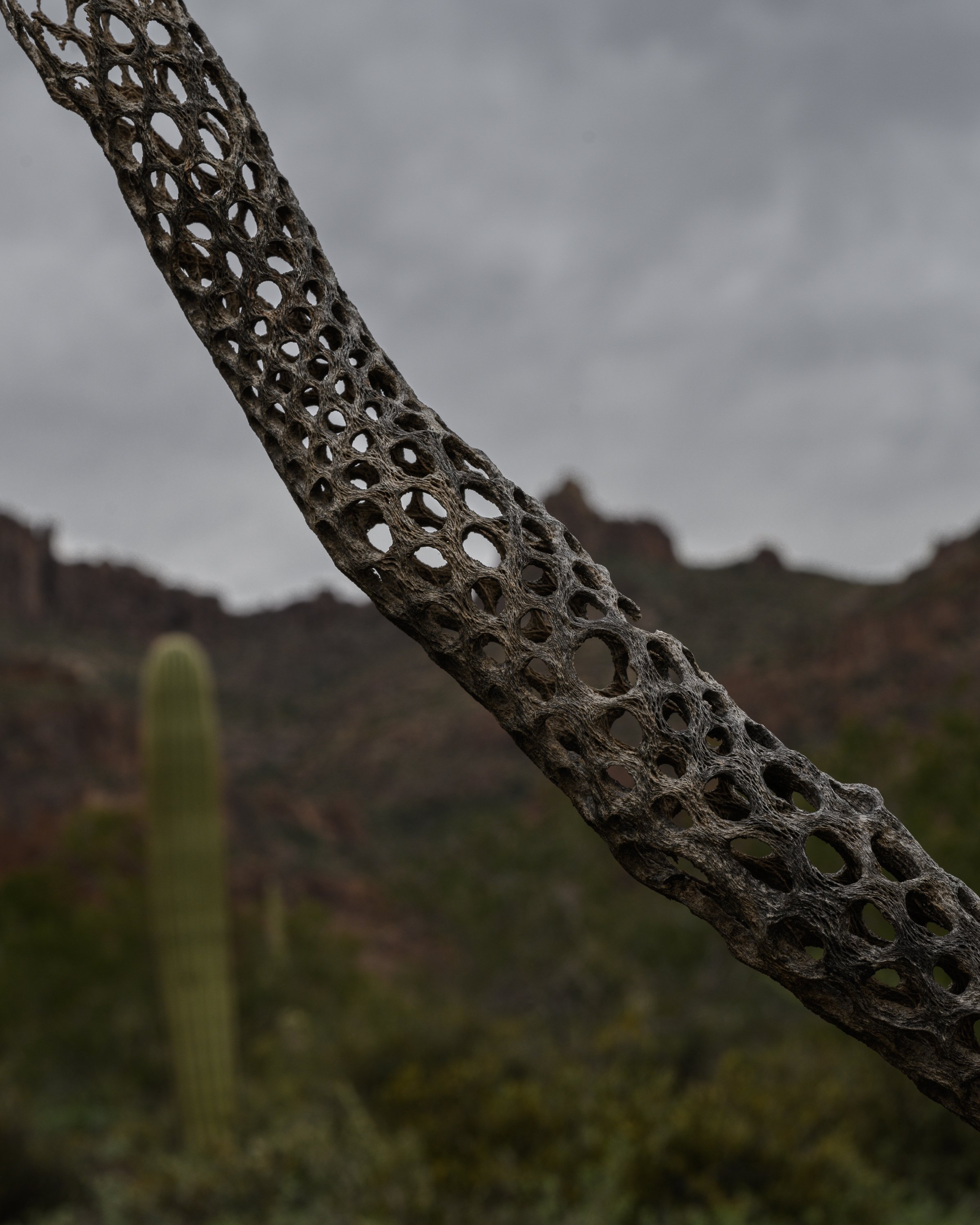Superstition Wilderness, Arizona