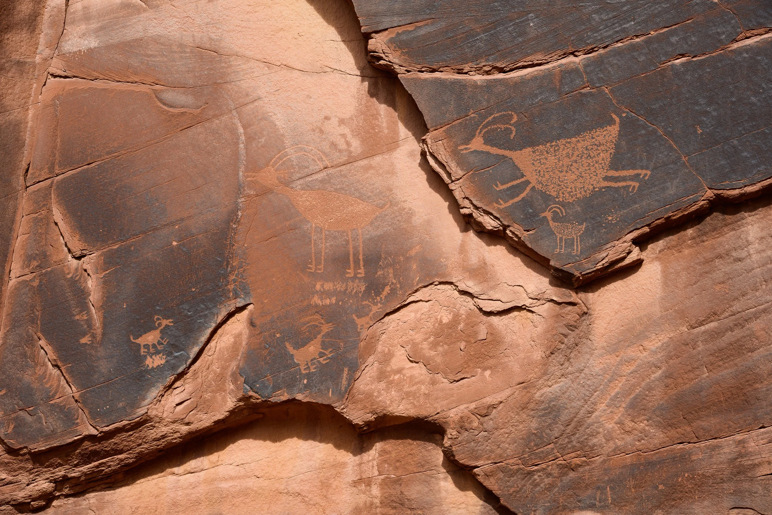 Monument Valley, Arizona