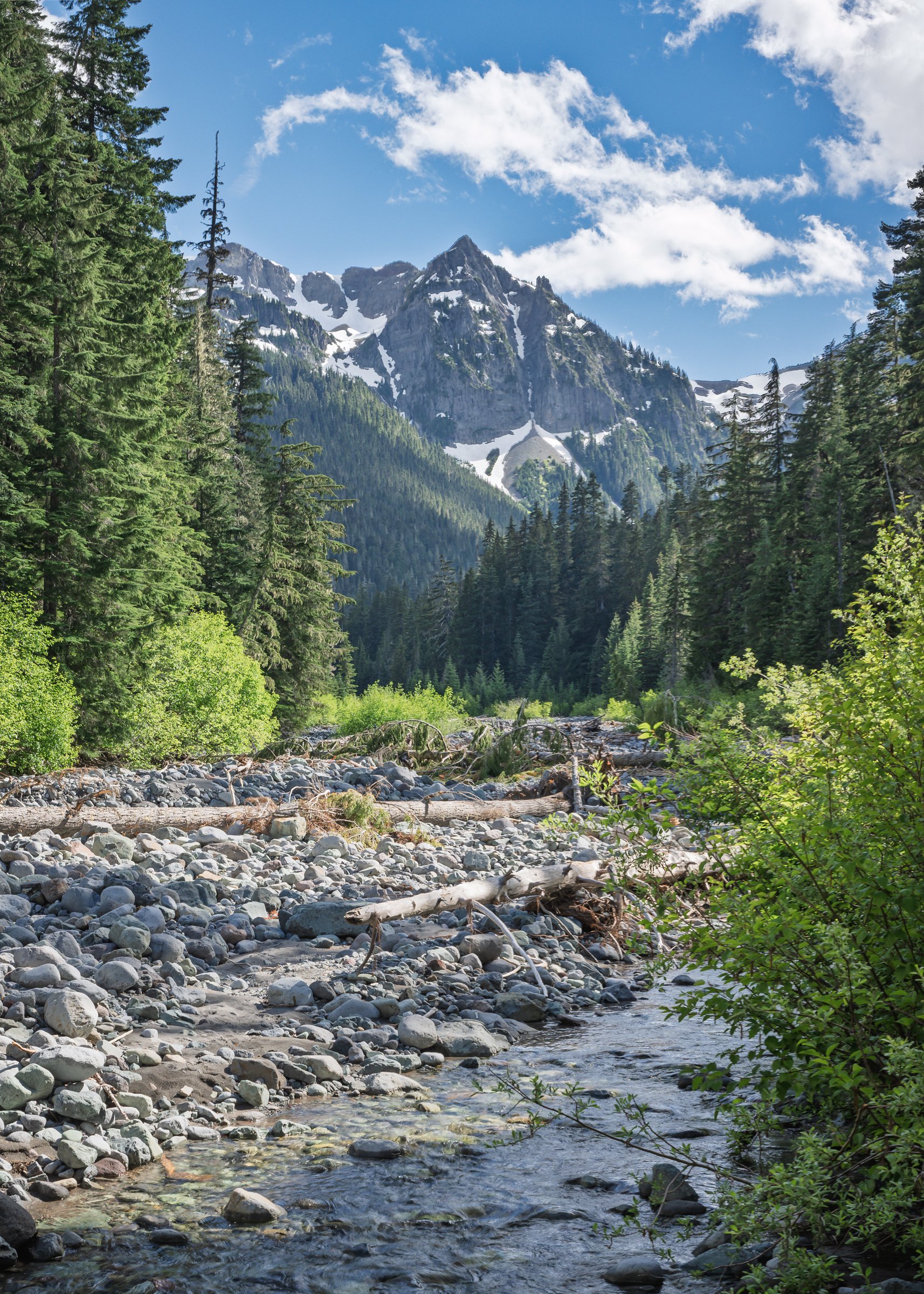 Cowitz Chimney and Frying Pan Creek, Washington in Mt. Rainier National Park