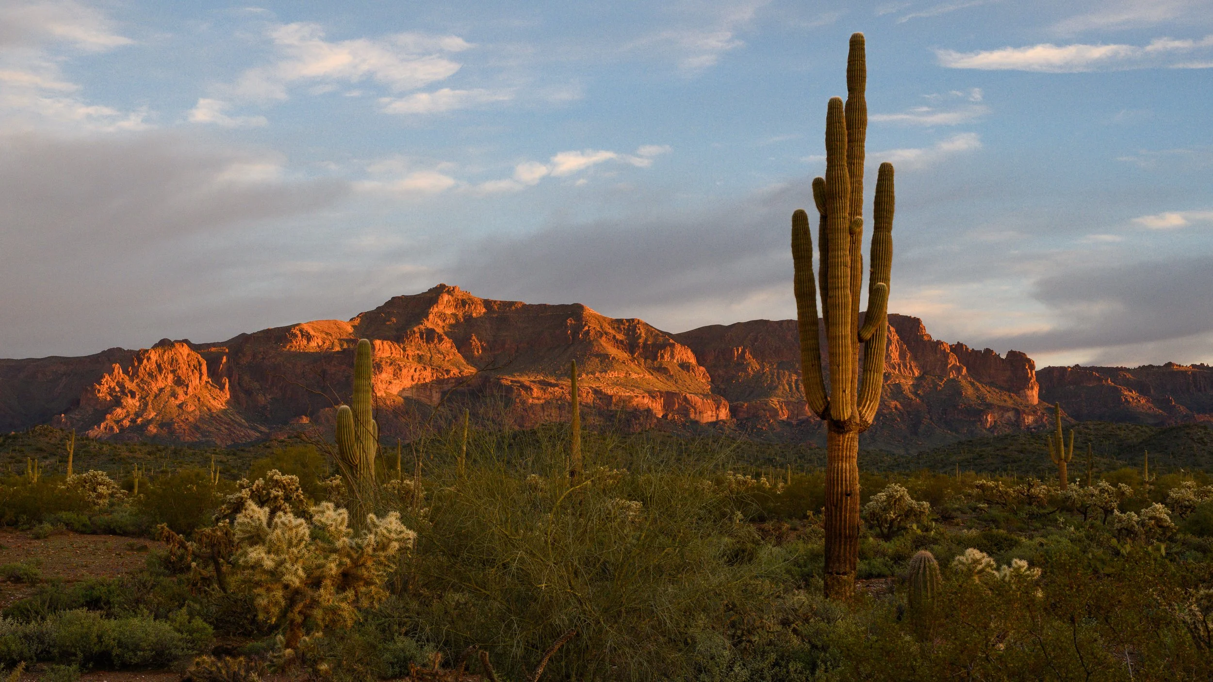 Superstition Wilderness, Arizona