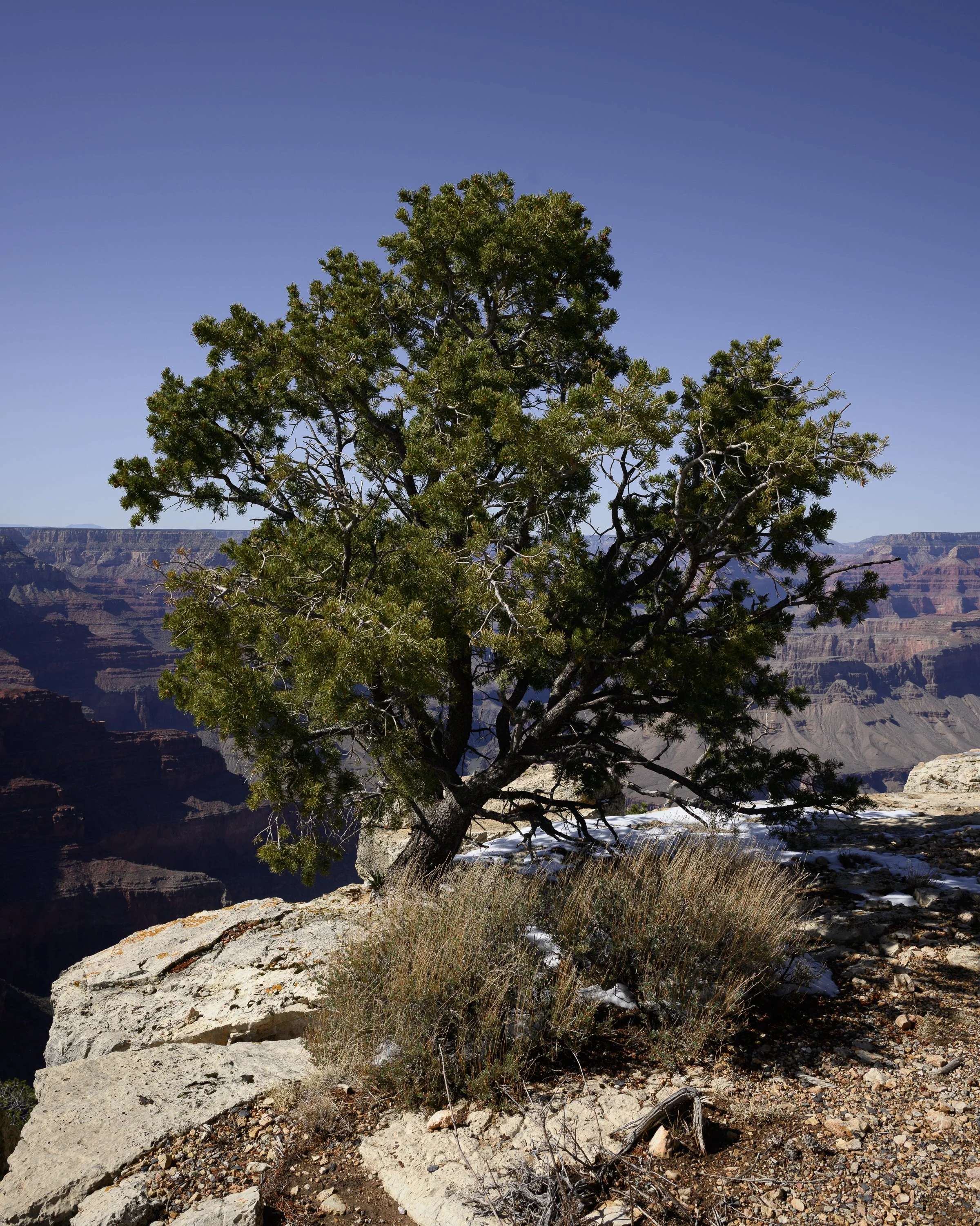 Rim Trail, South Rim, Grand Canyon, Arizona