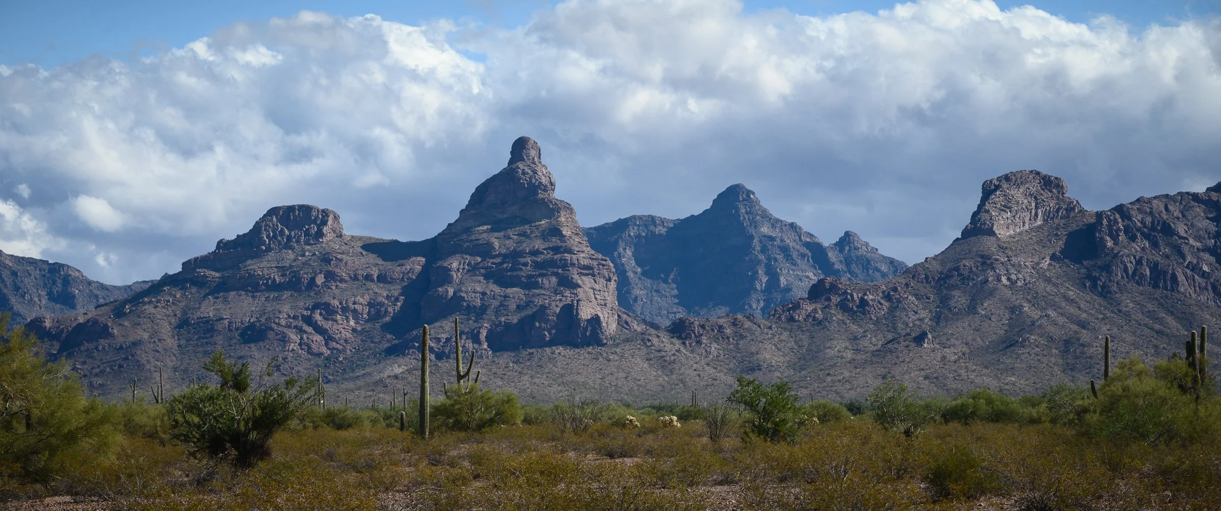 Organ Pipe Cactus National Monument, Arizona