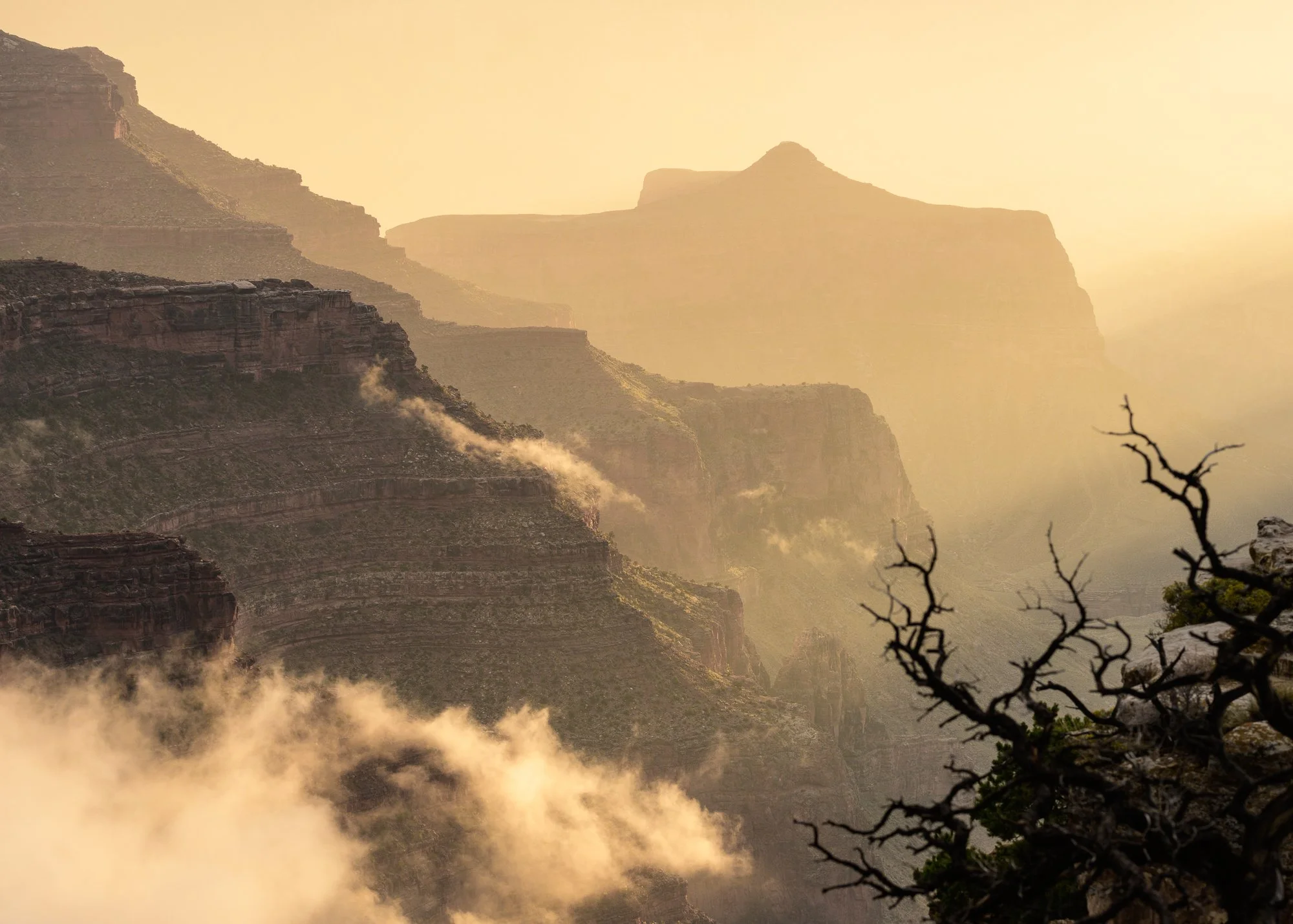Moody Weather, Golden Light, Cape Royal, Grand Canyon National Park, Arizona