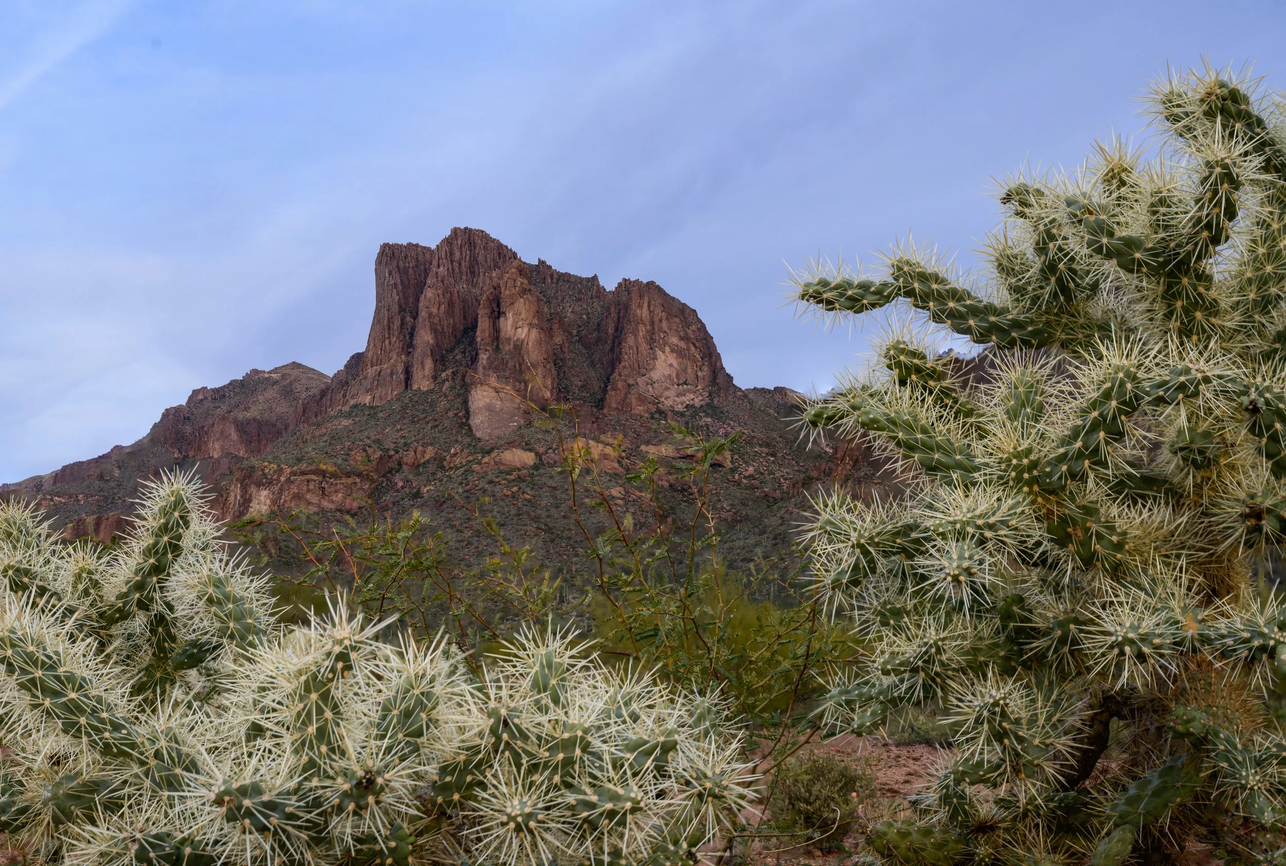Superstitions  Wilderness, Arizona