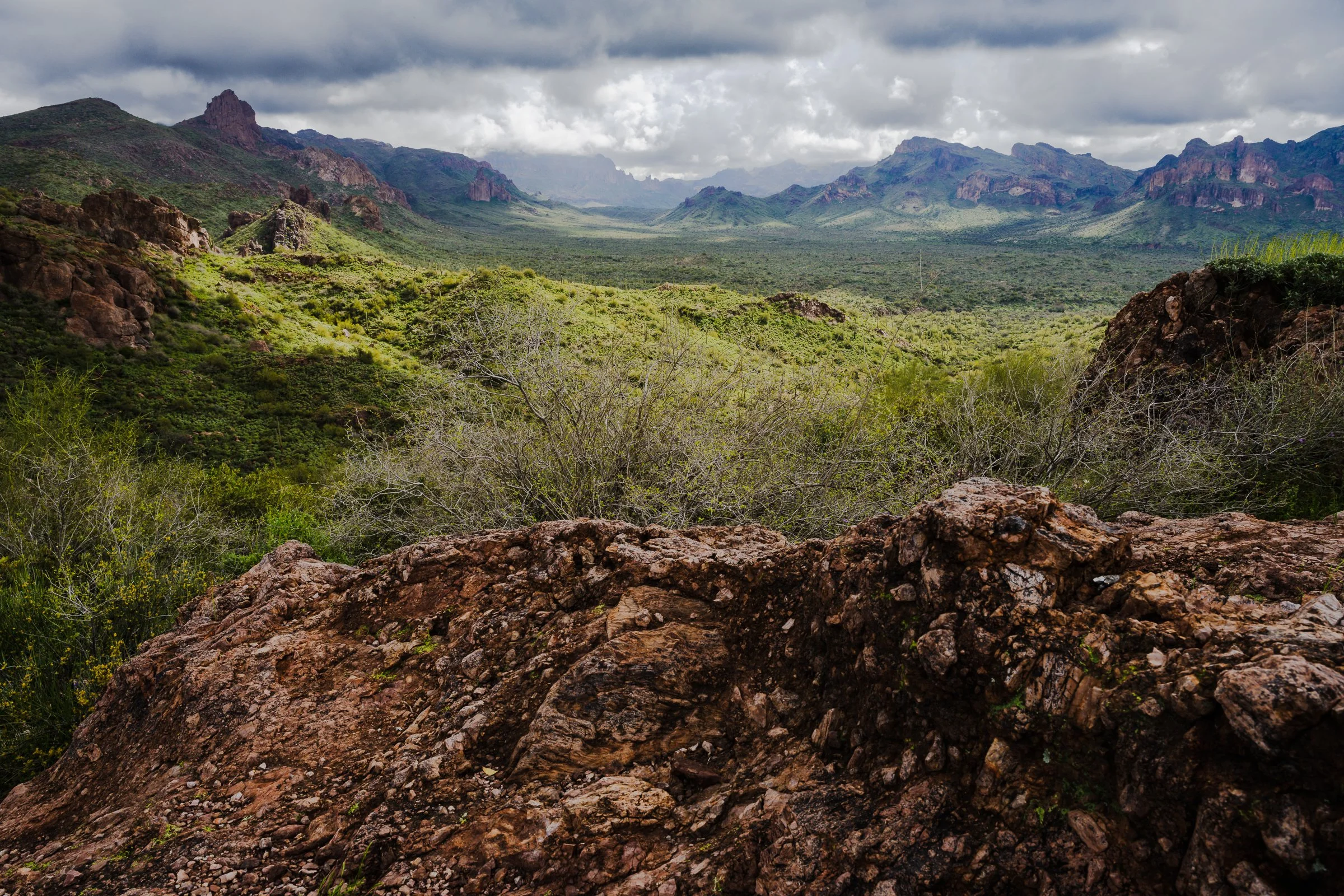 Superstitions Wilderness, Arizona