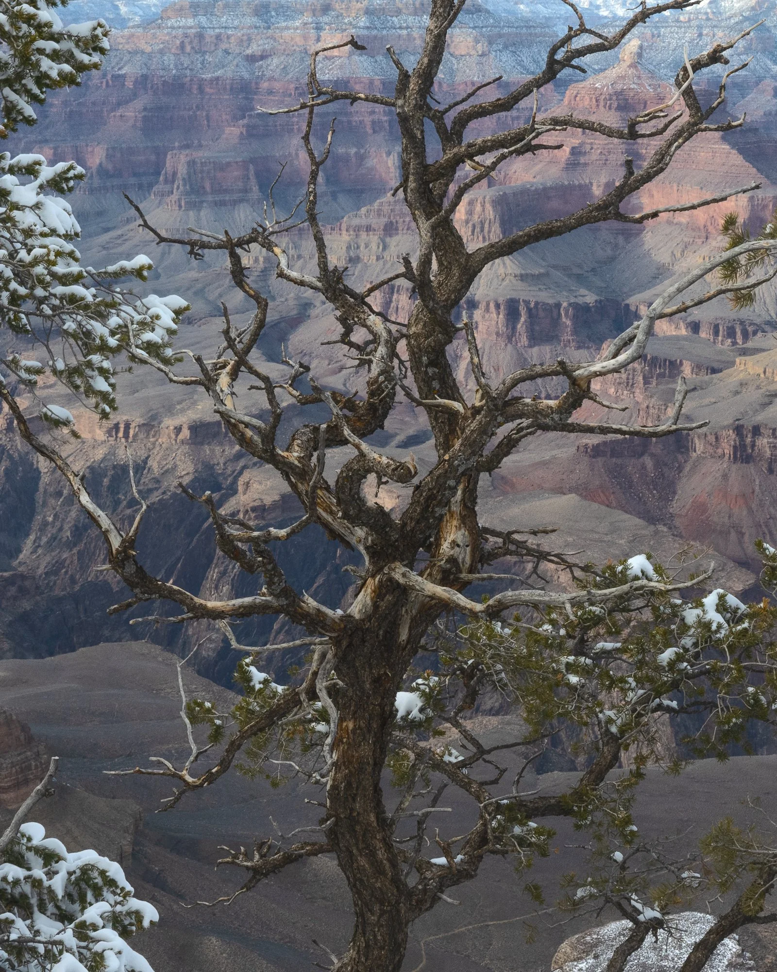 winter, snow, Grand Canyon National Park, Arizona