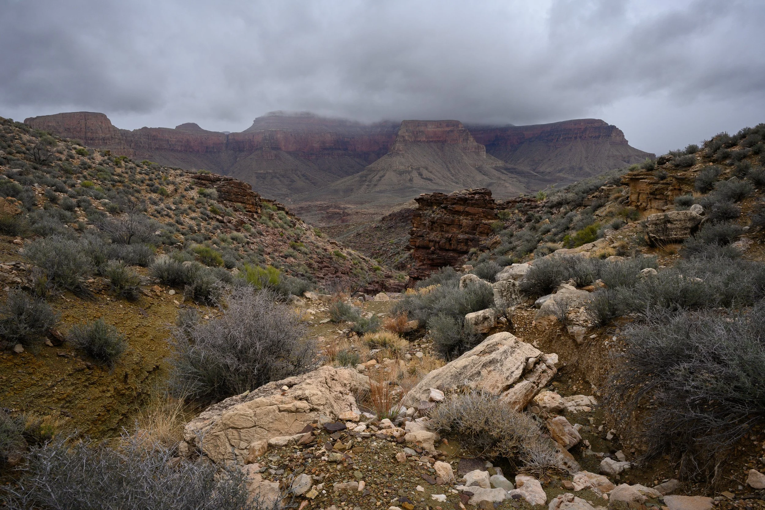 Tonto Trail, Grand Canyon, Arizona