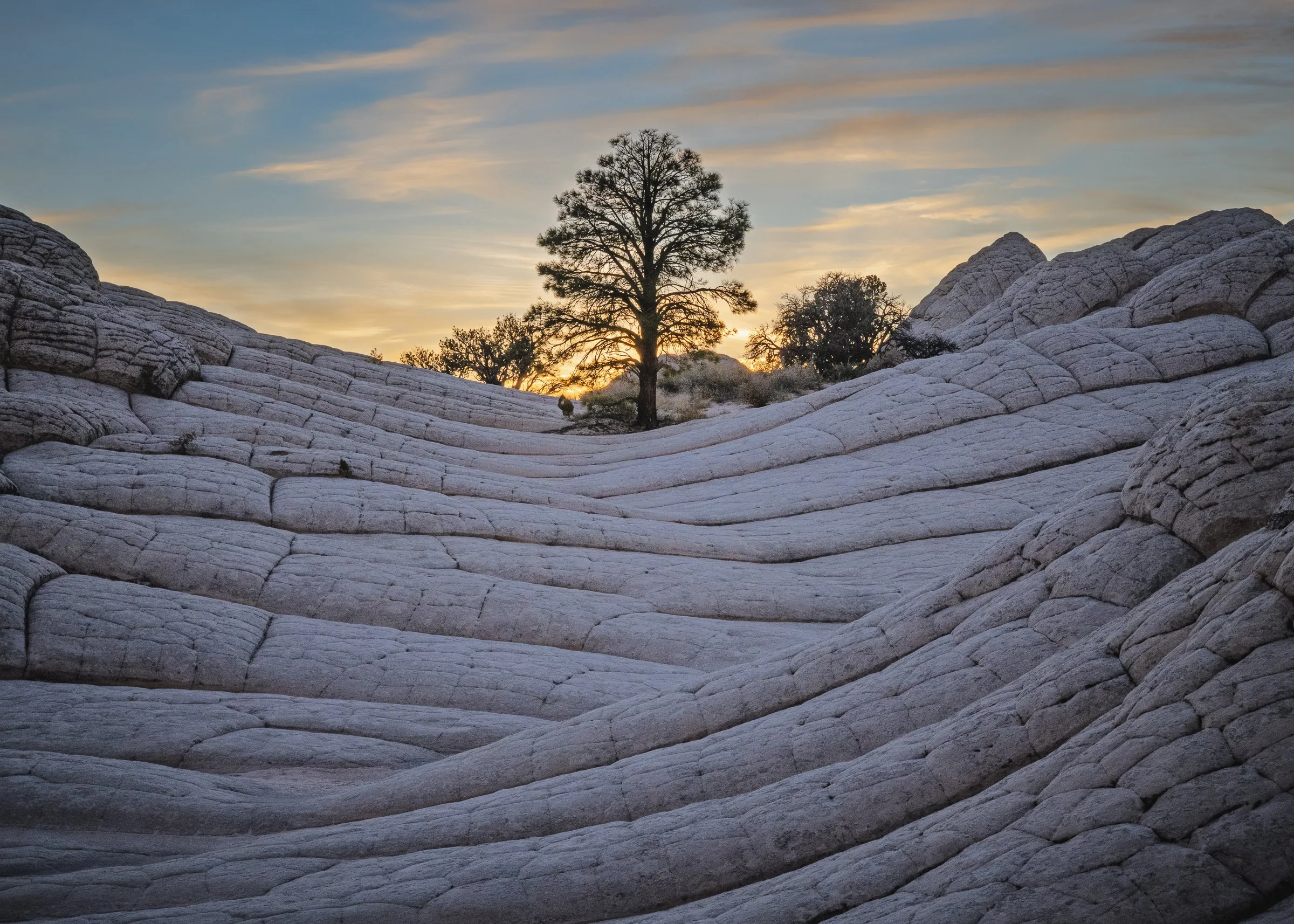 White Pocket, Arizona