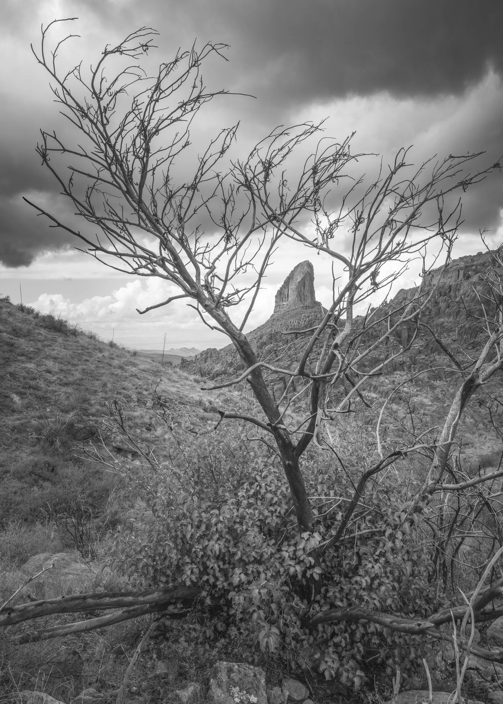 Superstition Wilderness, Arizona