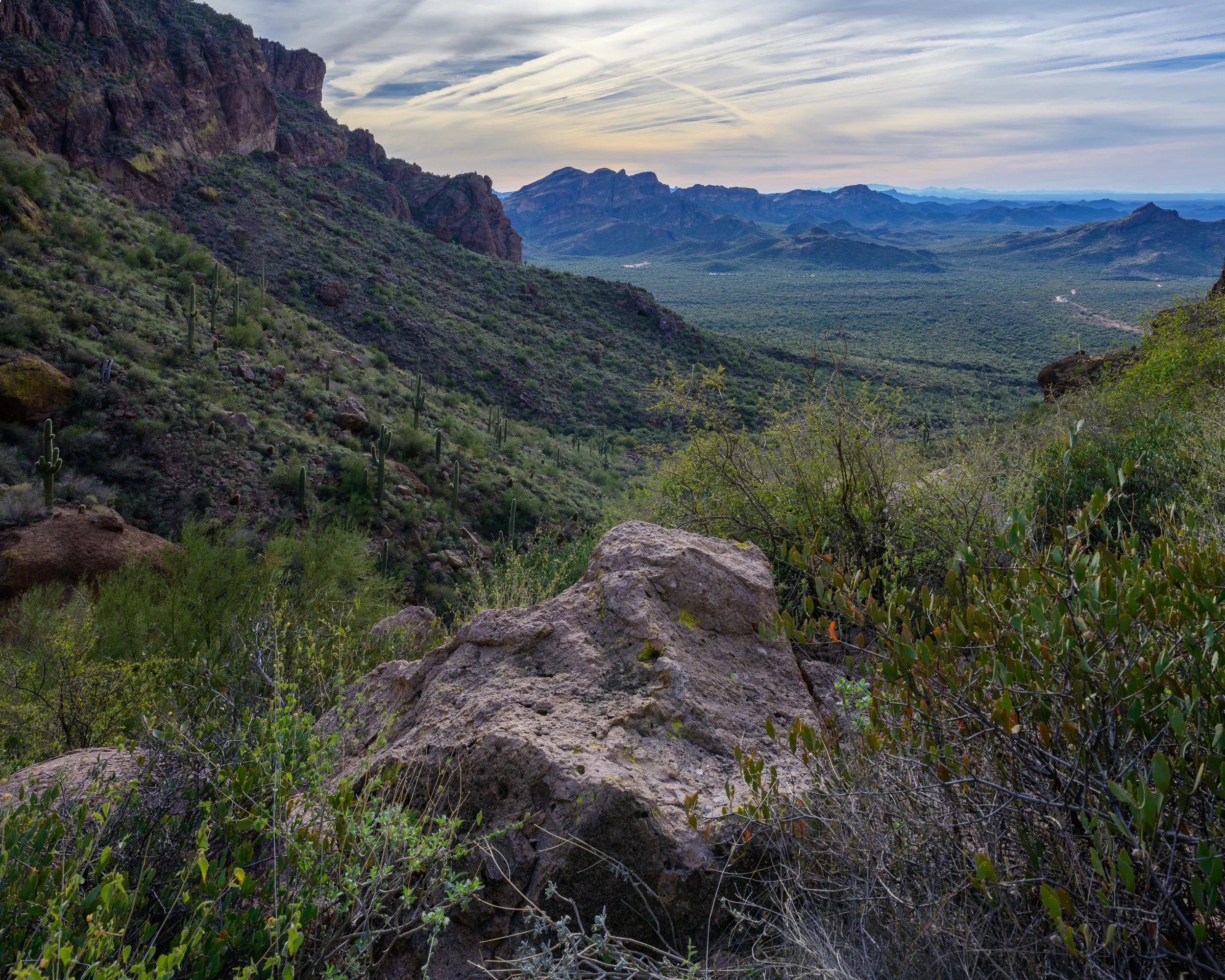 Superstitions  Wilderness, Arizona