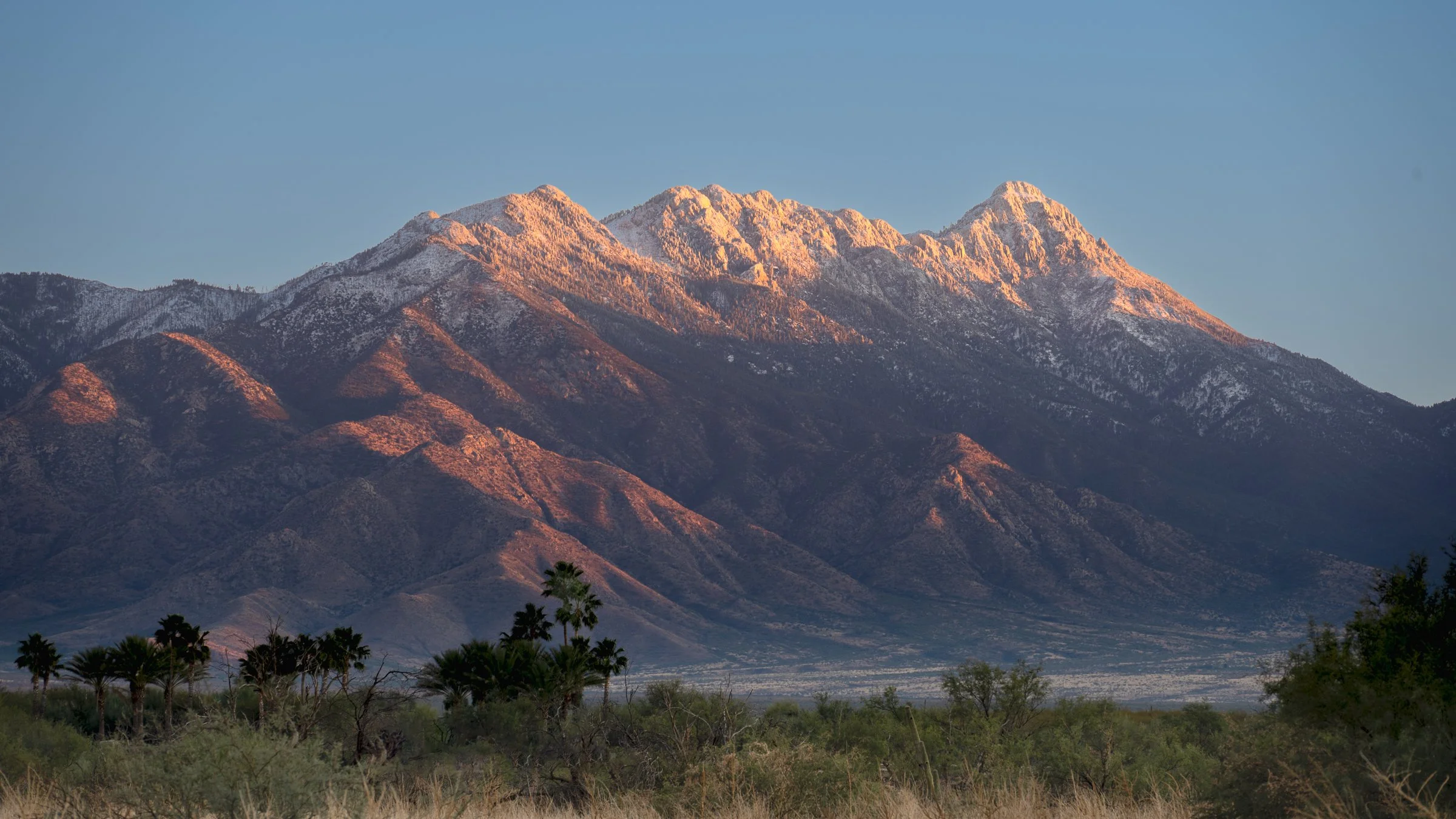 Mt. Wrightson, Arizona