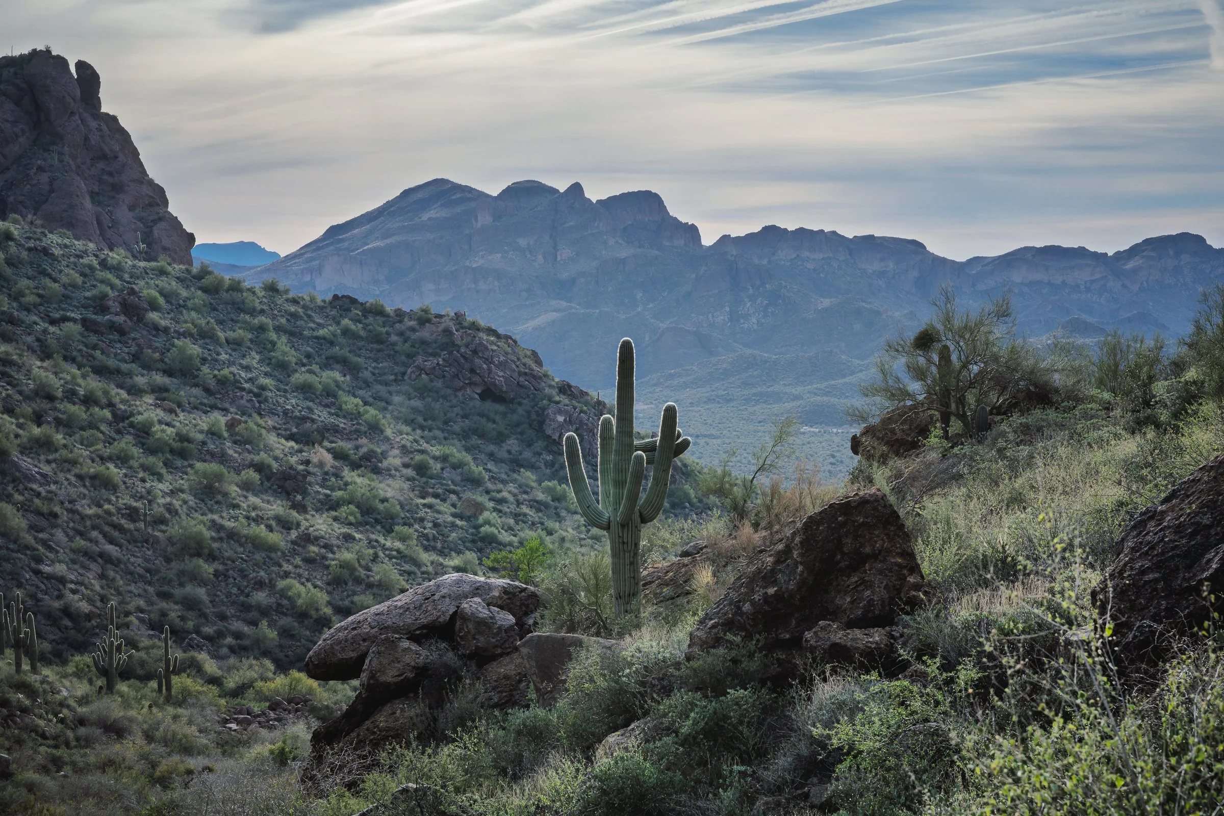 Superstition Wilderness, Arizona