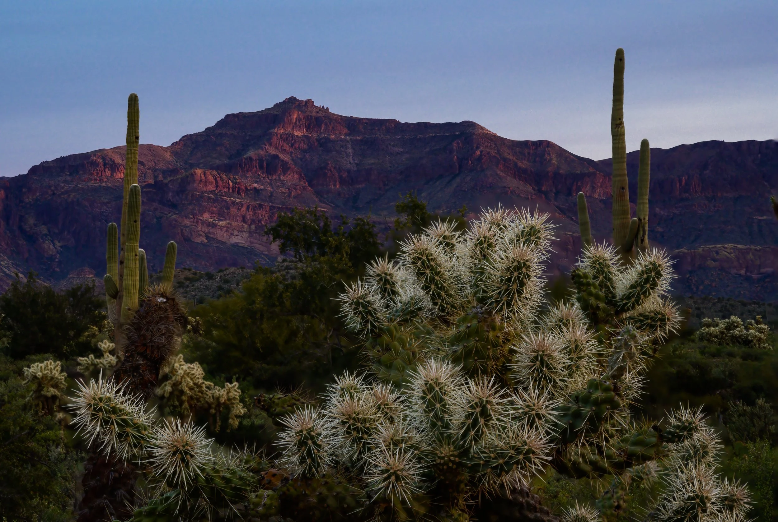 Superstitions  Wilderness, Arizona