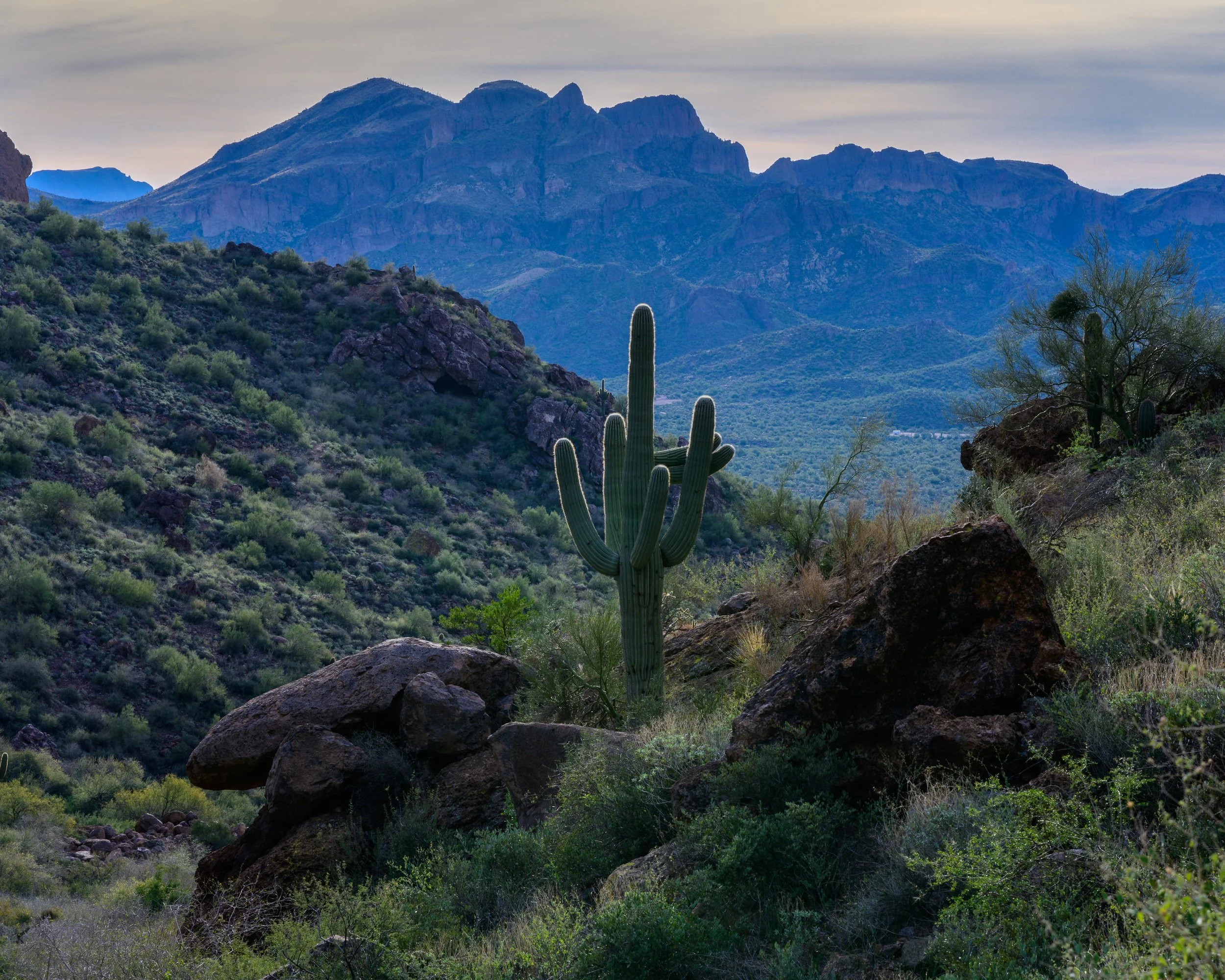 Superstitions  Wilderness, Arizona