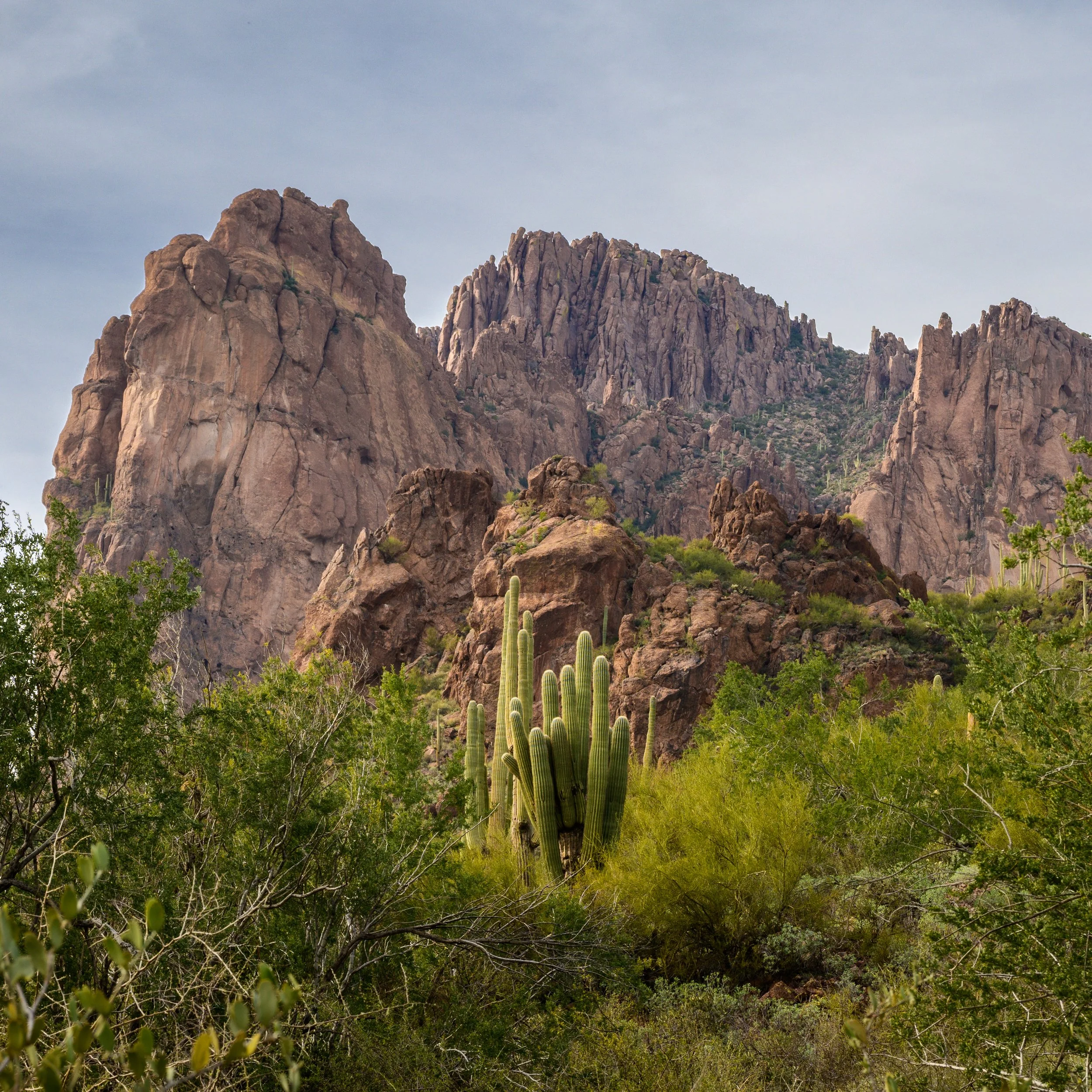 Superstitions  Wilderness, Arizona