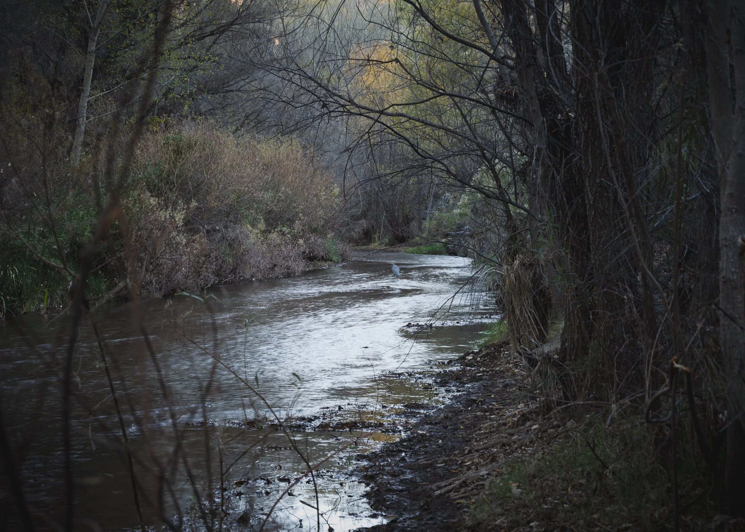 Aravaipa Canyon, Arizona