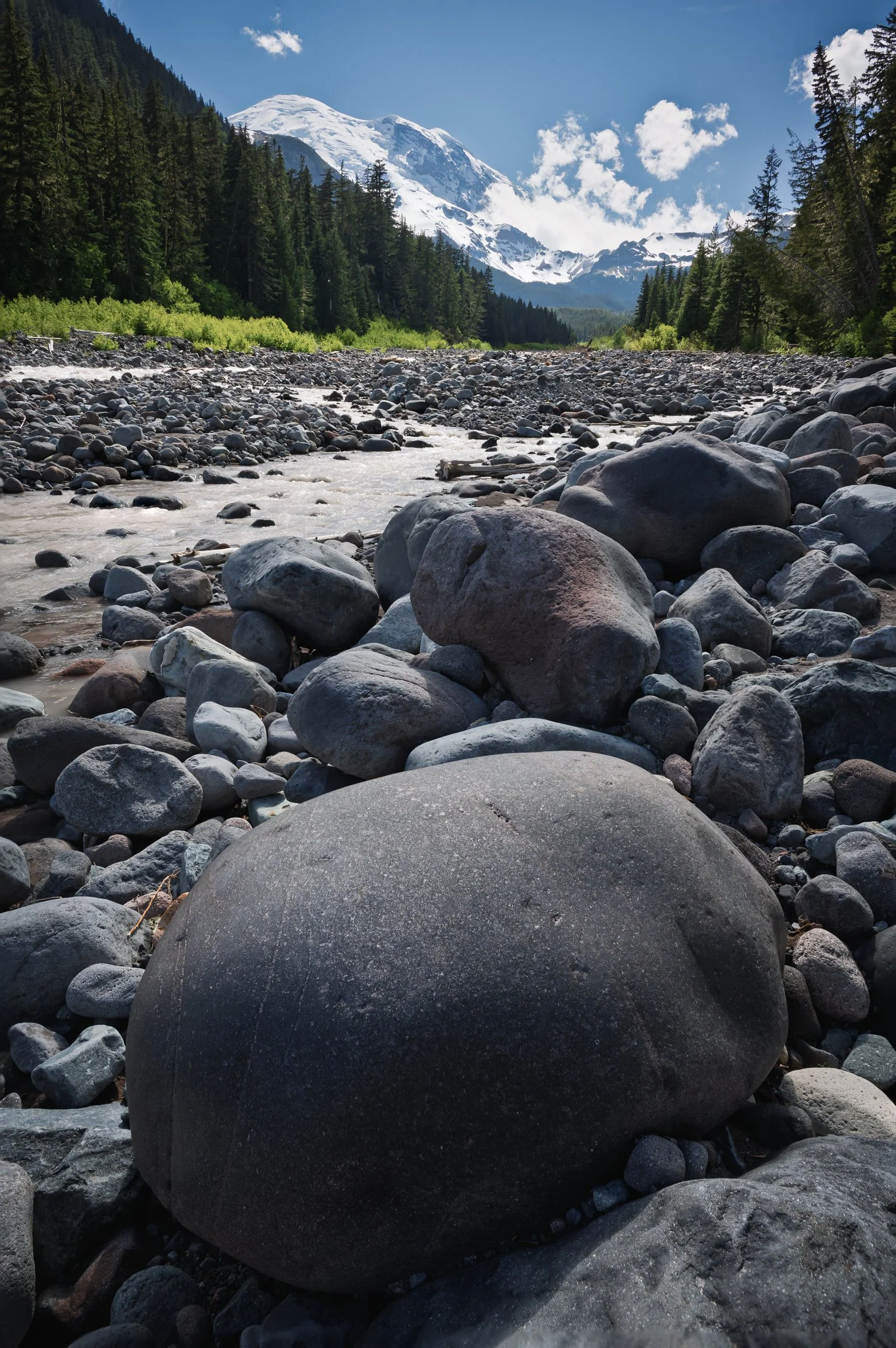 Mt Rainier behind the White River, Mt. Rainier National Park Washington