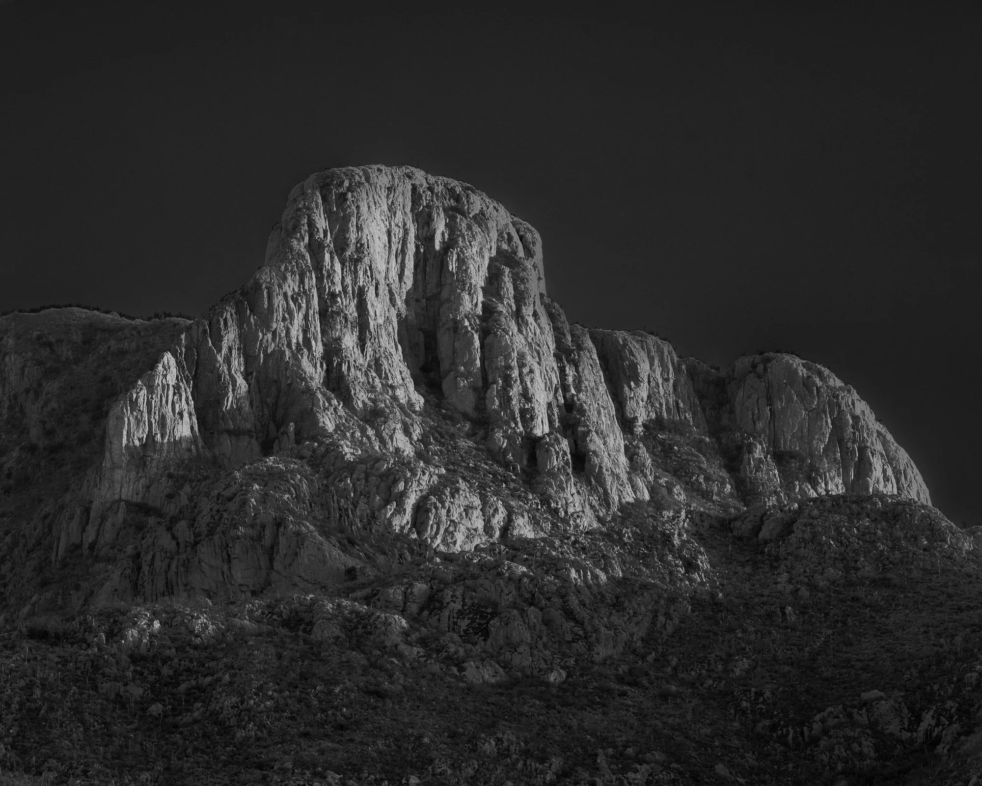 Little Elephant Head2.jpg