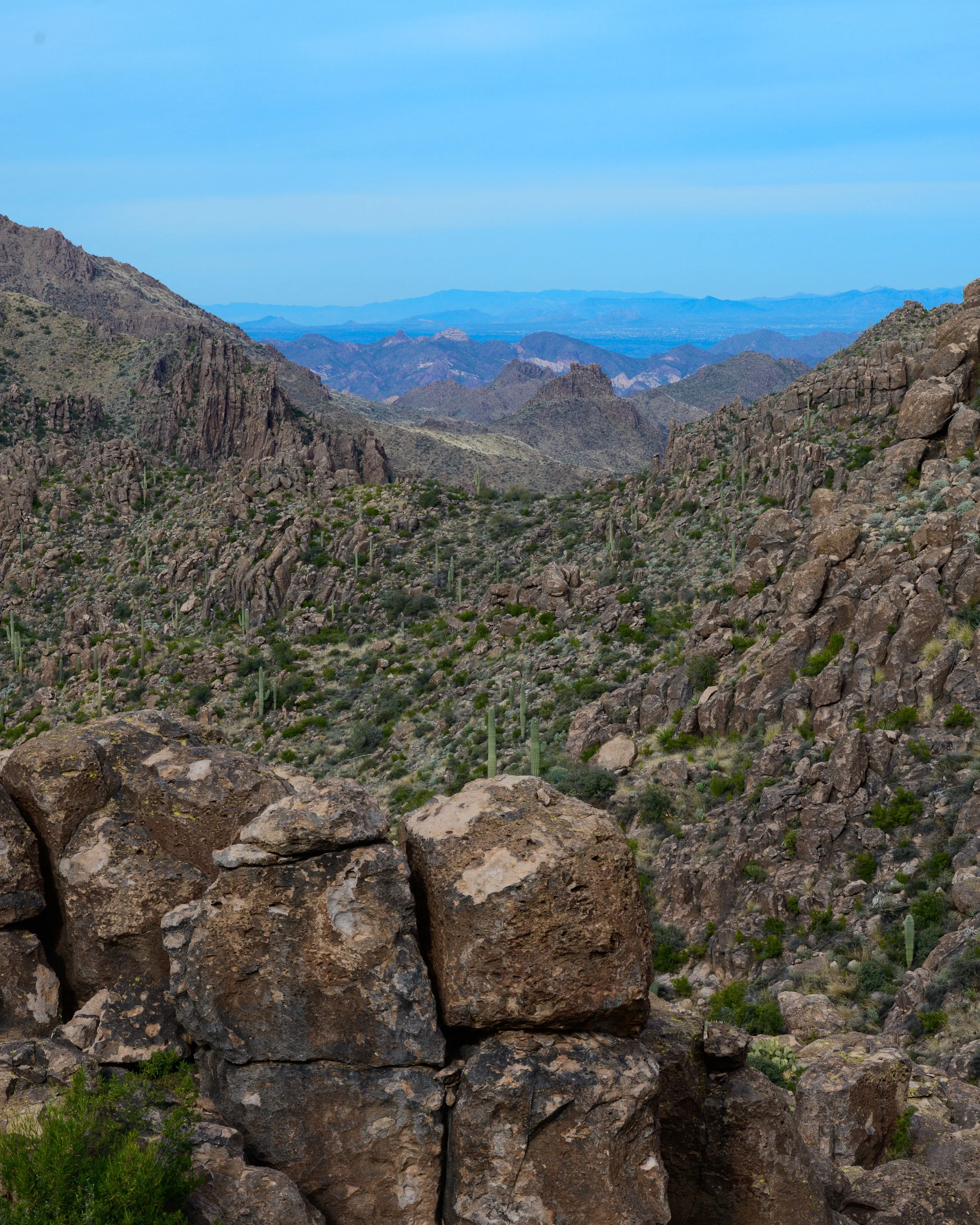 Superstitions  Wilderness, Arizona