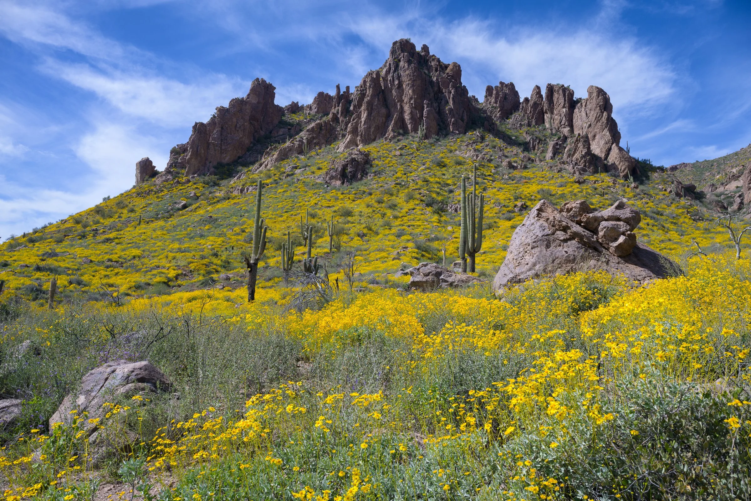 Superstition Wilderness, Arizona