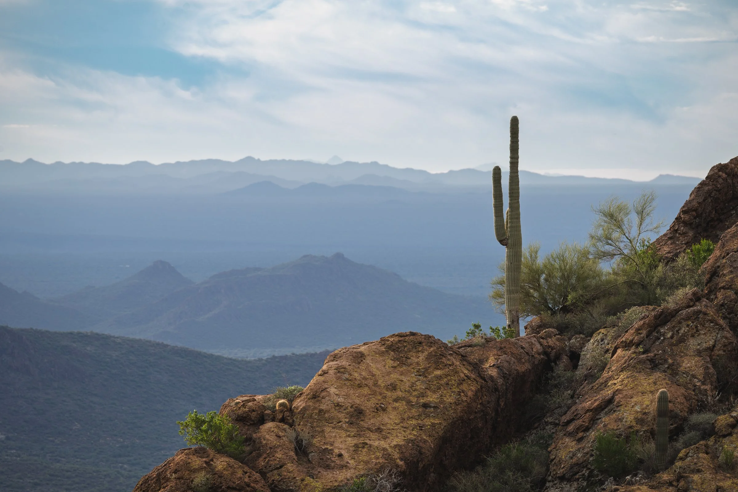 Superstition Wilderness, Arizona