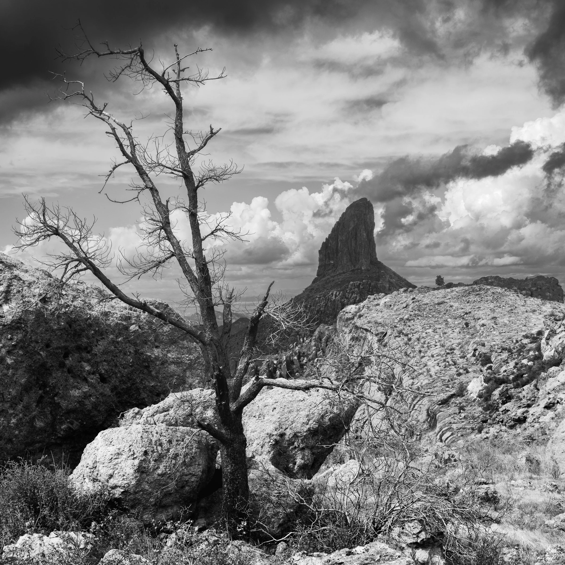 Weavers Needle, Superstitions Wilderness, Arizona