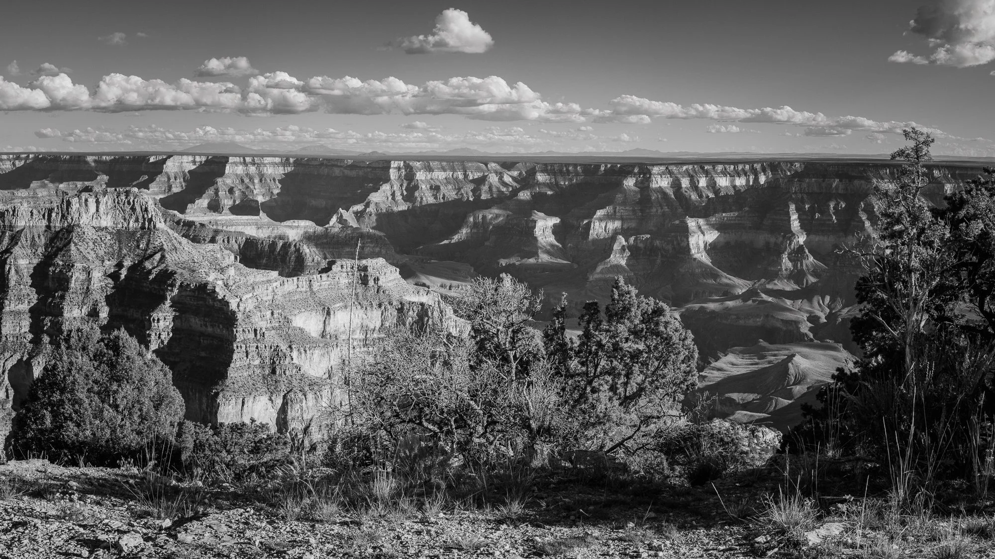 North Rim, Point Sublime, Grand Canyon National Park, Arizona