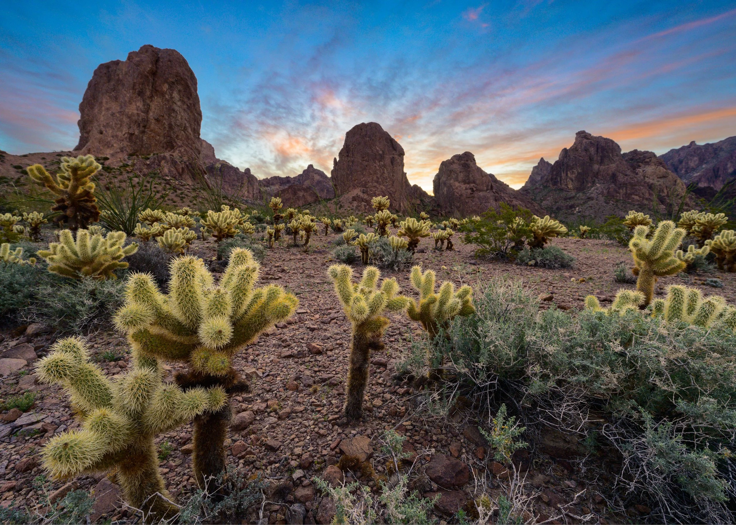Kofa Wilderness, Arizona