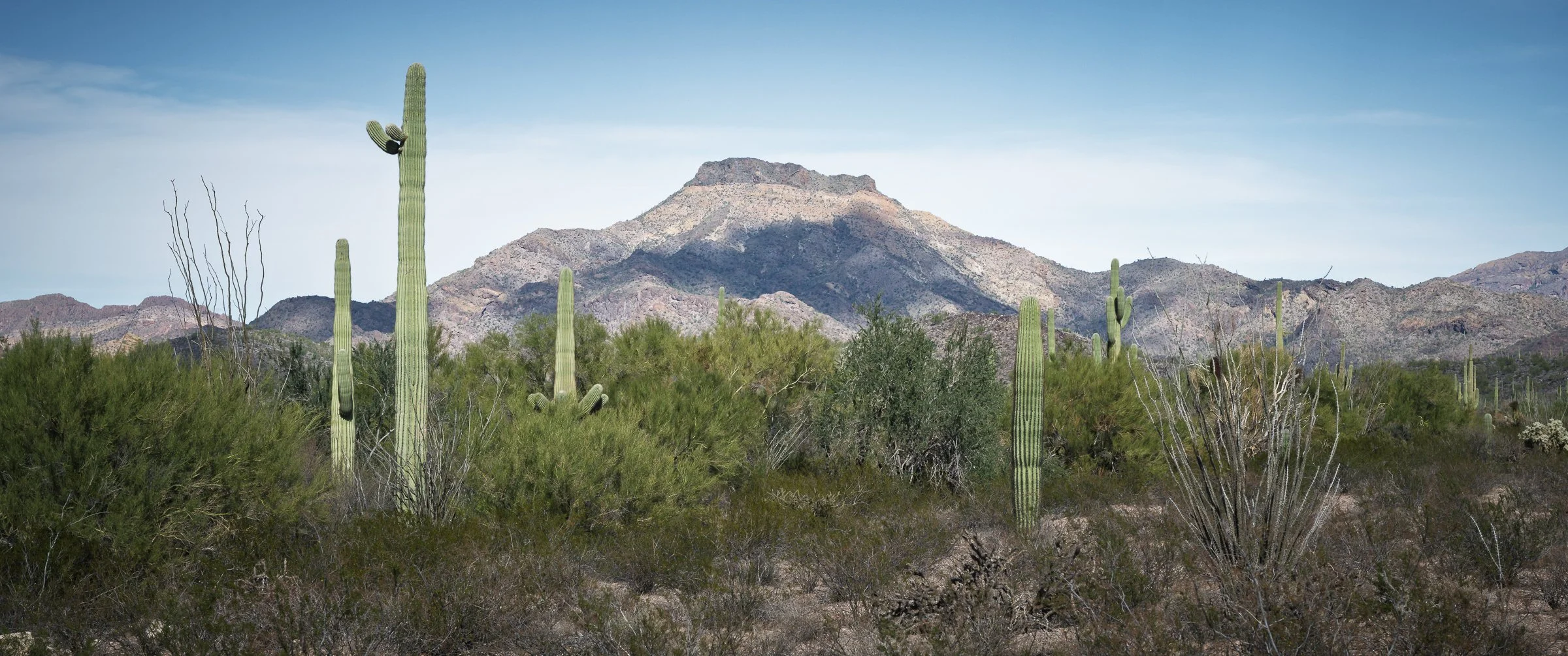 Organ Pipe Cactus National Monument, Arizona