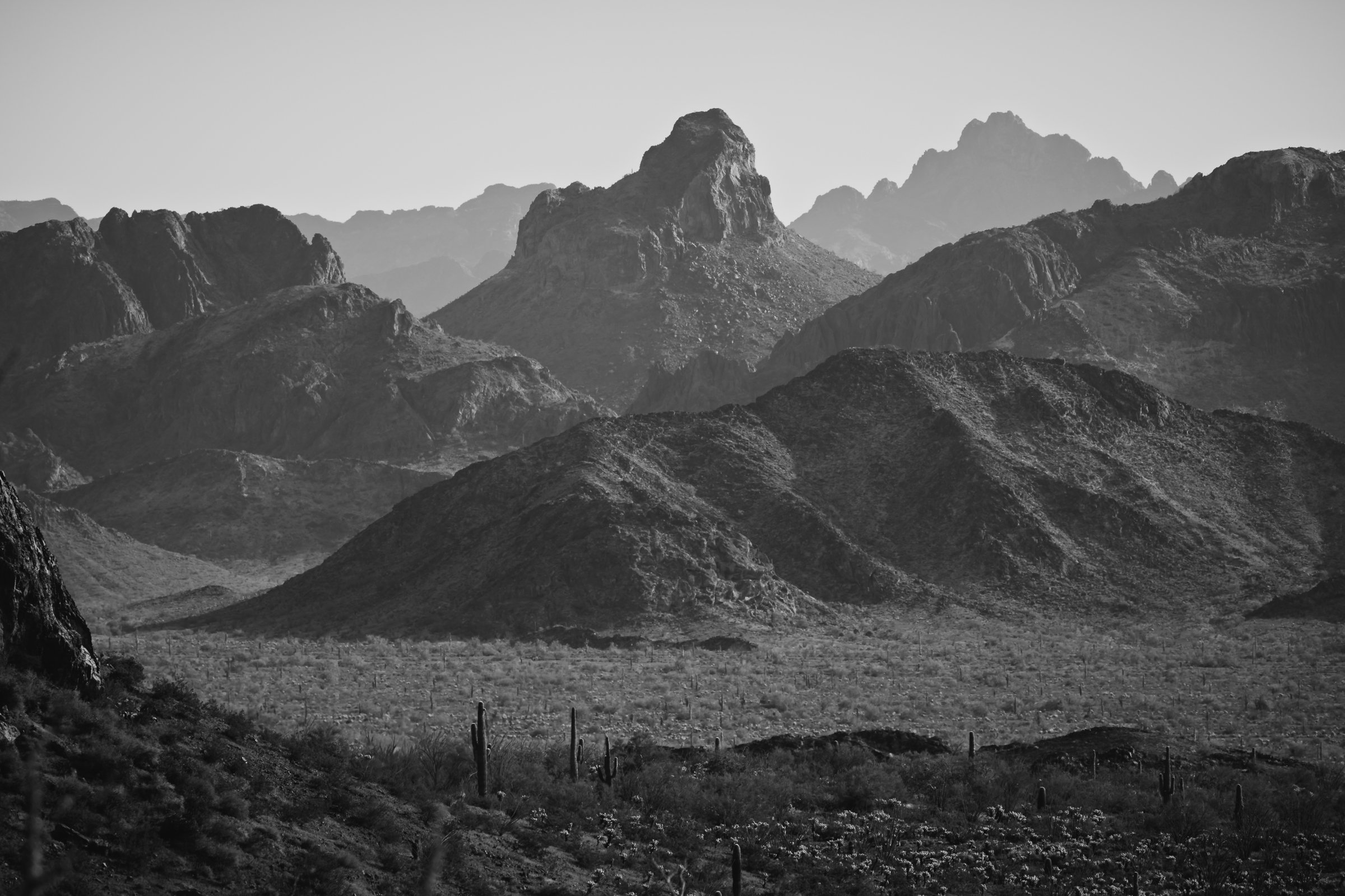 Kofa Wilderness, Arizona