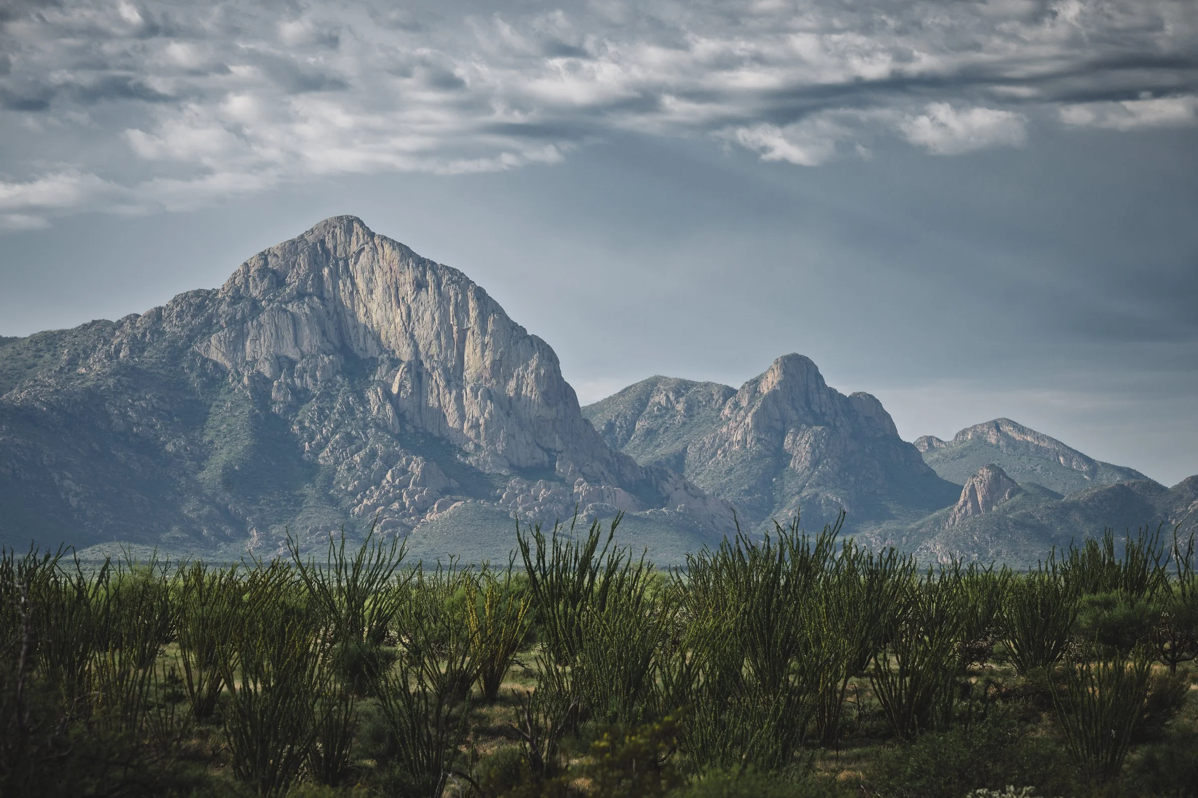 Elephant Head, Arizona