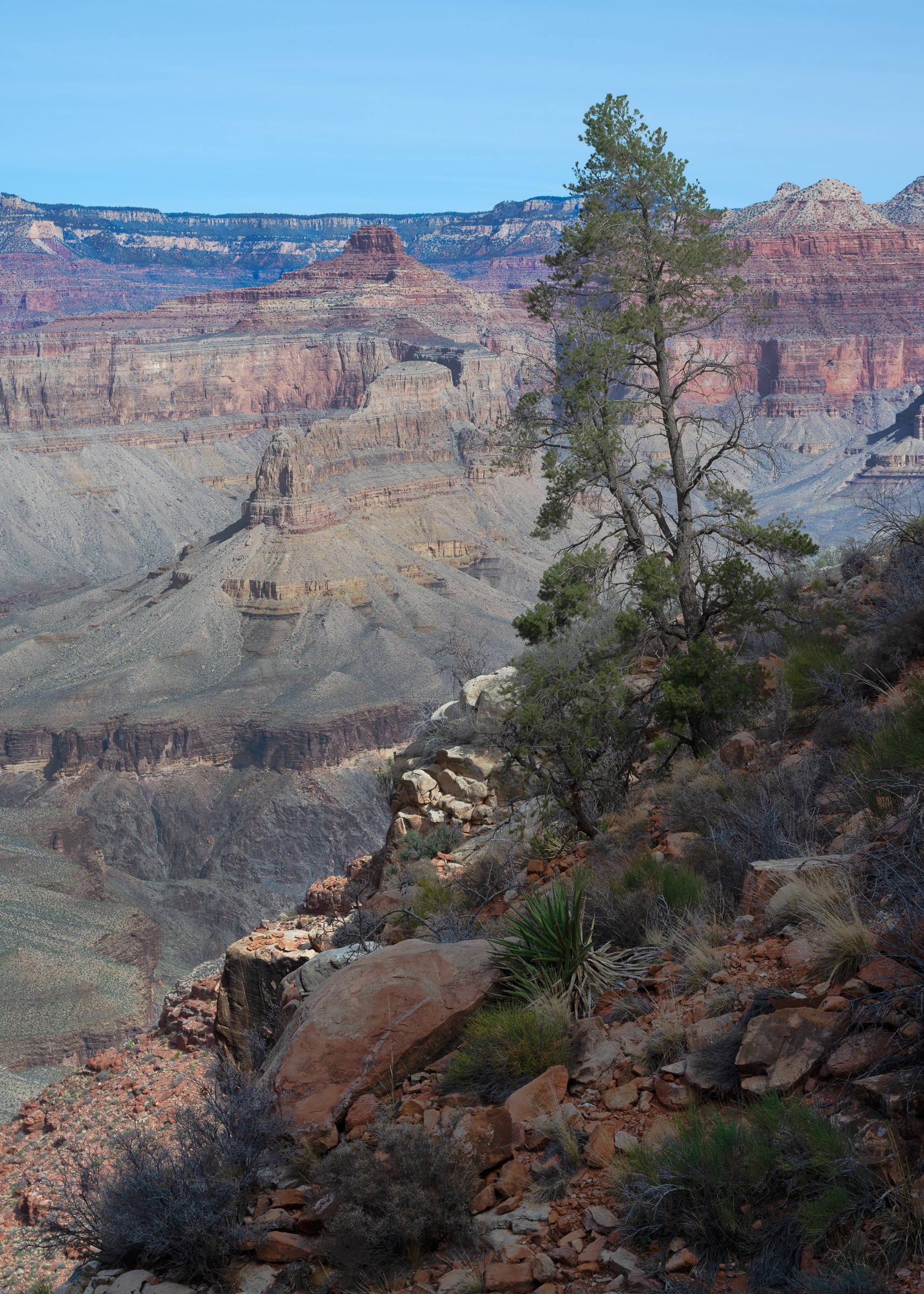 Grand Canyon National Park, Arizona