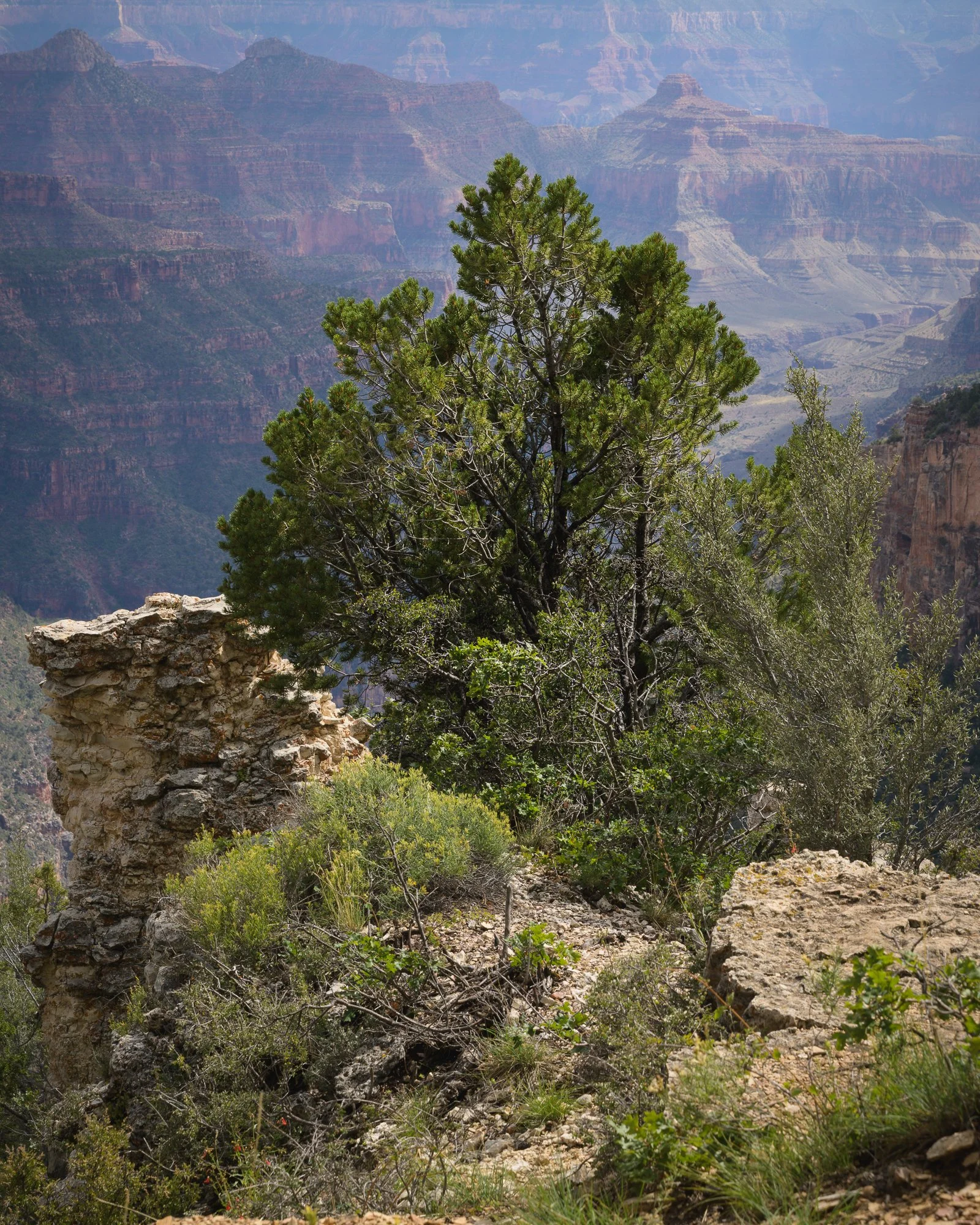 North Rim, Grand Canyon National Park, Arizona