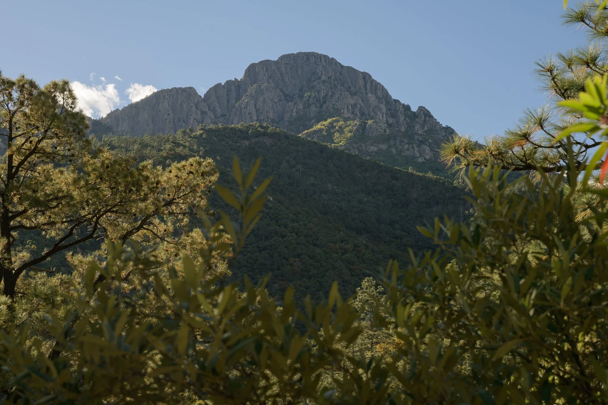 Wrightson From Baldy Trail.jpg