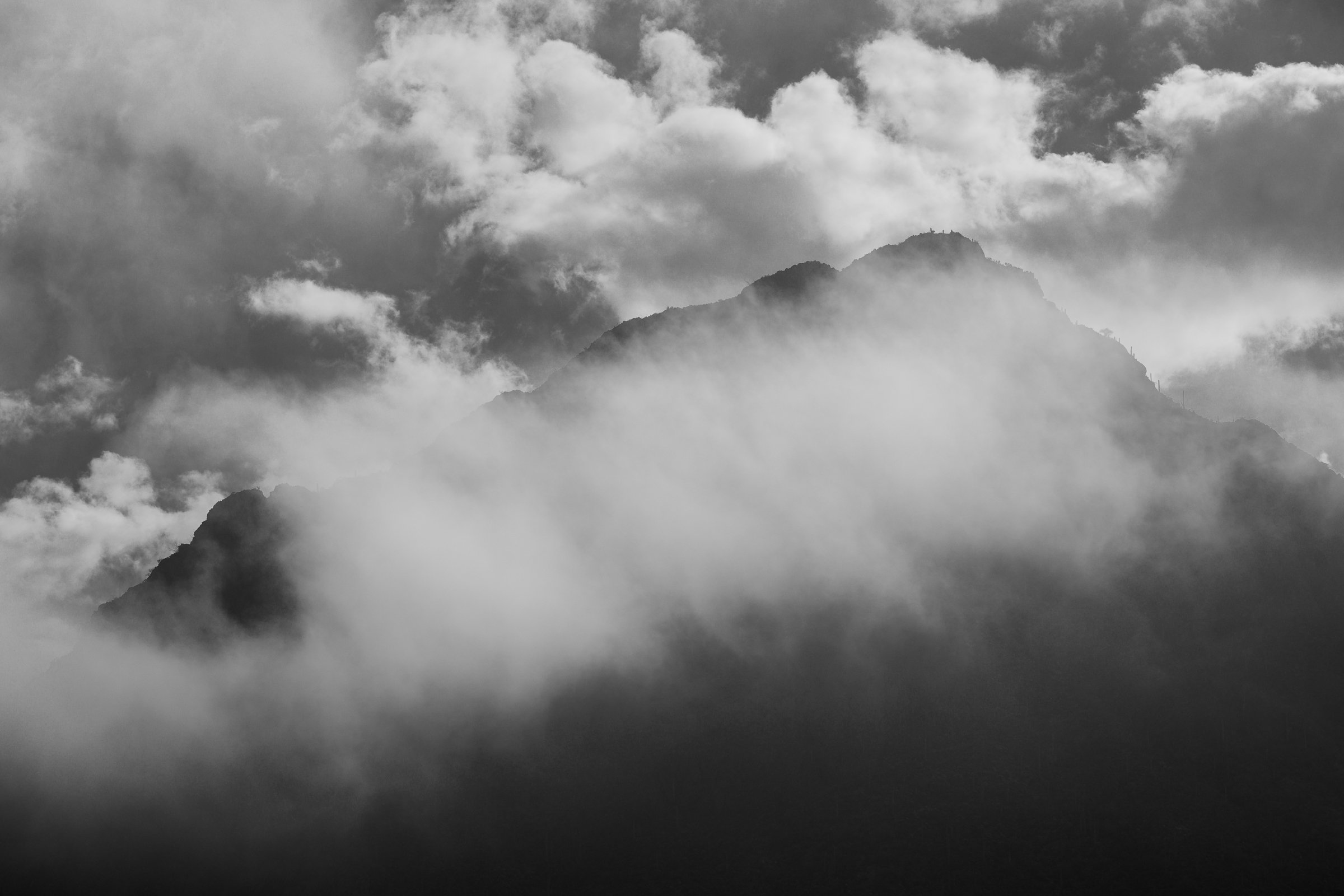 Tucson Mountain Park, Arizona