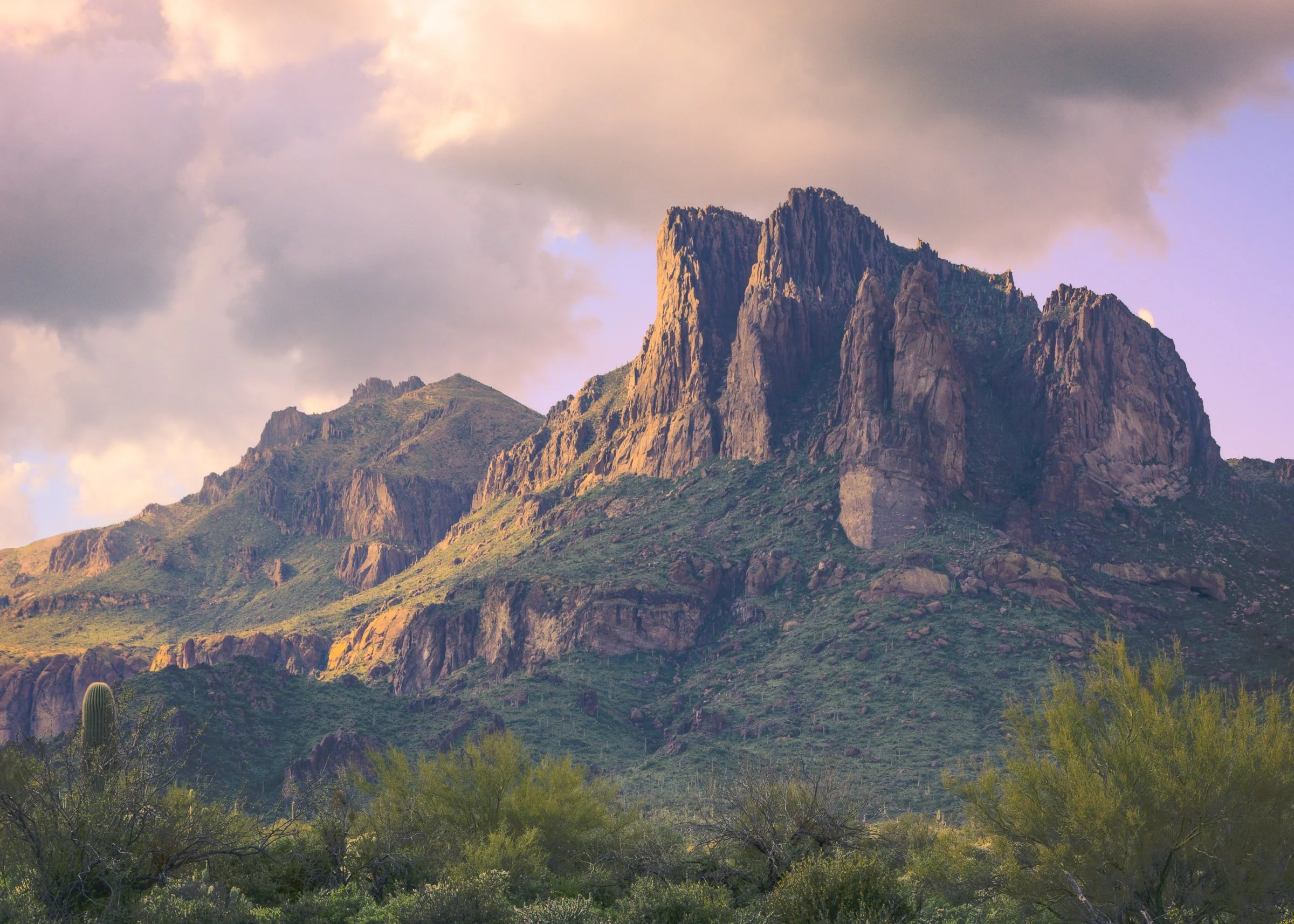 Superstition Wilderness, Arizona