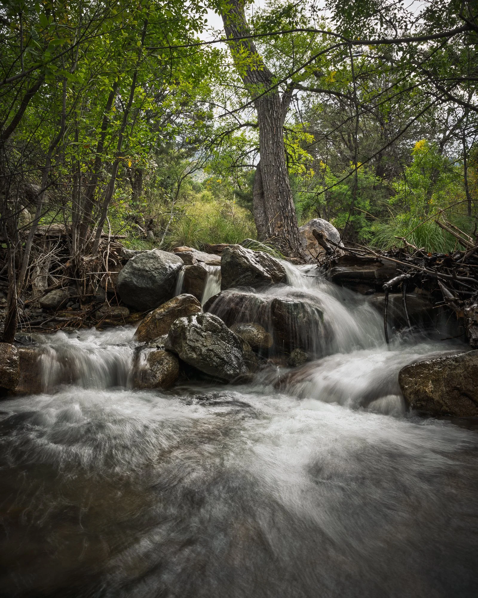 _DSC2423-HDR.jpg