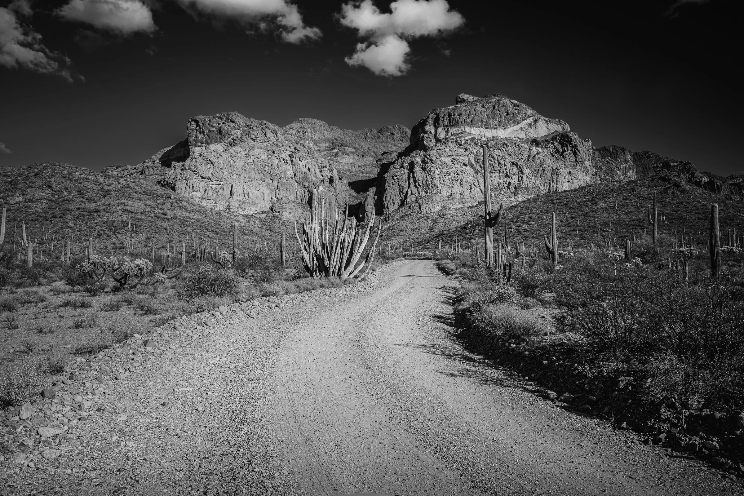 Organ Pipe Cactus National Monument, Arizona