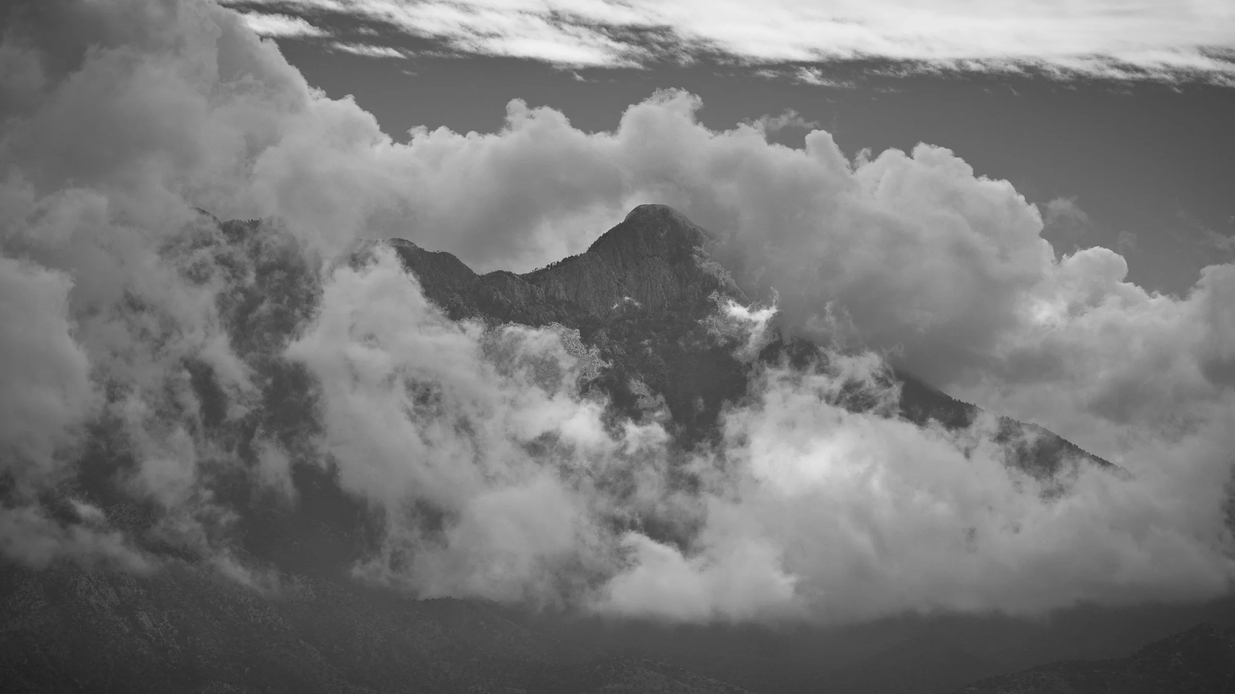 Mt. Wrightson, Arizona